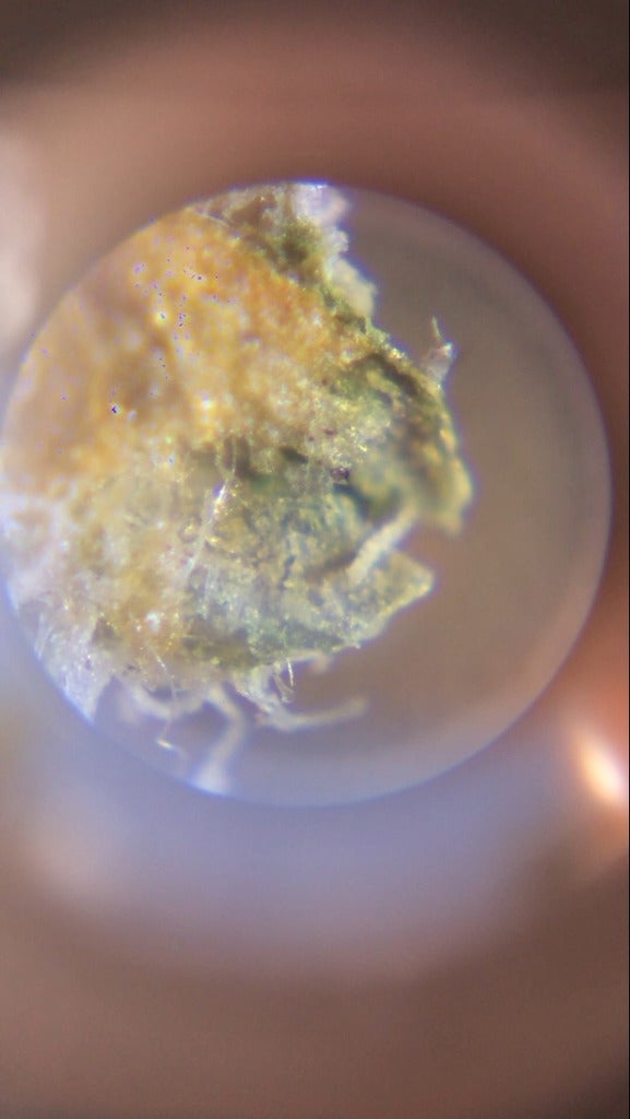 Miniatura 4 do modelo 3D Carson Microscope iPhone 5 Mount