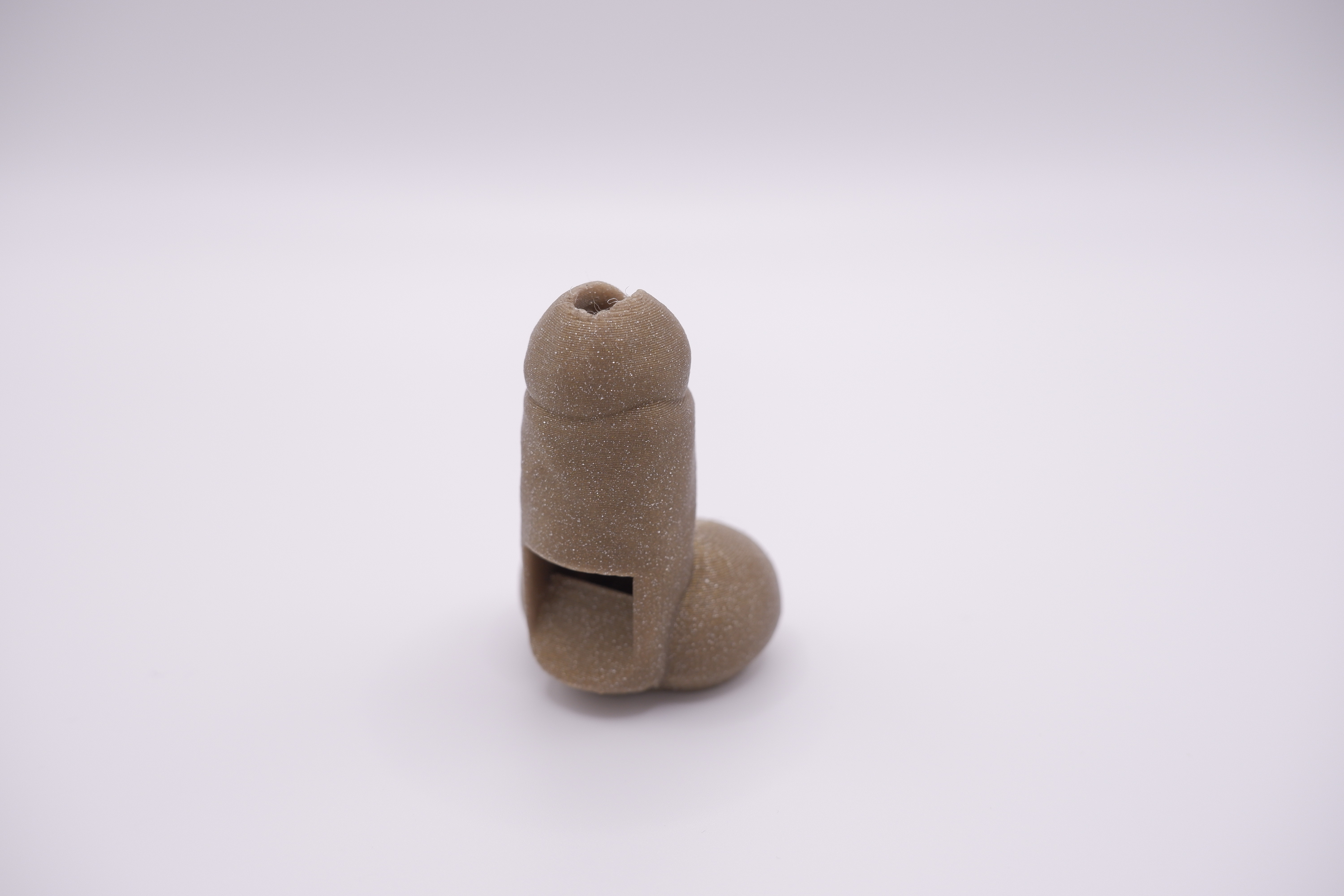 Lil' Dick Whistle