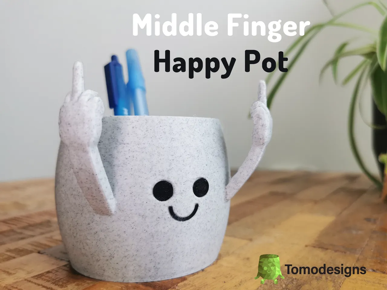 Smiling Plant Pot with Middle Fingers Up Unique Cute Flower Pots Novelty  Planter