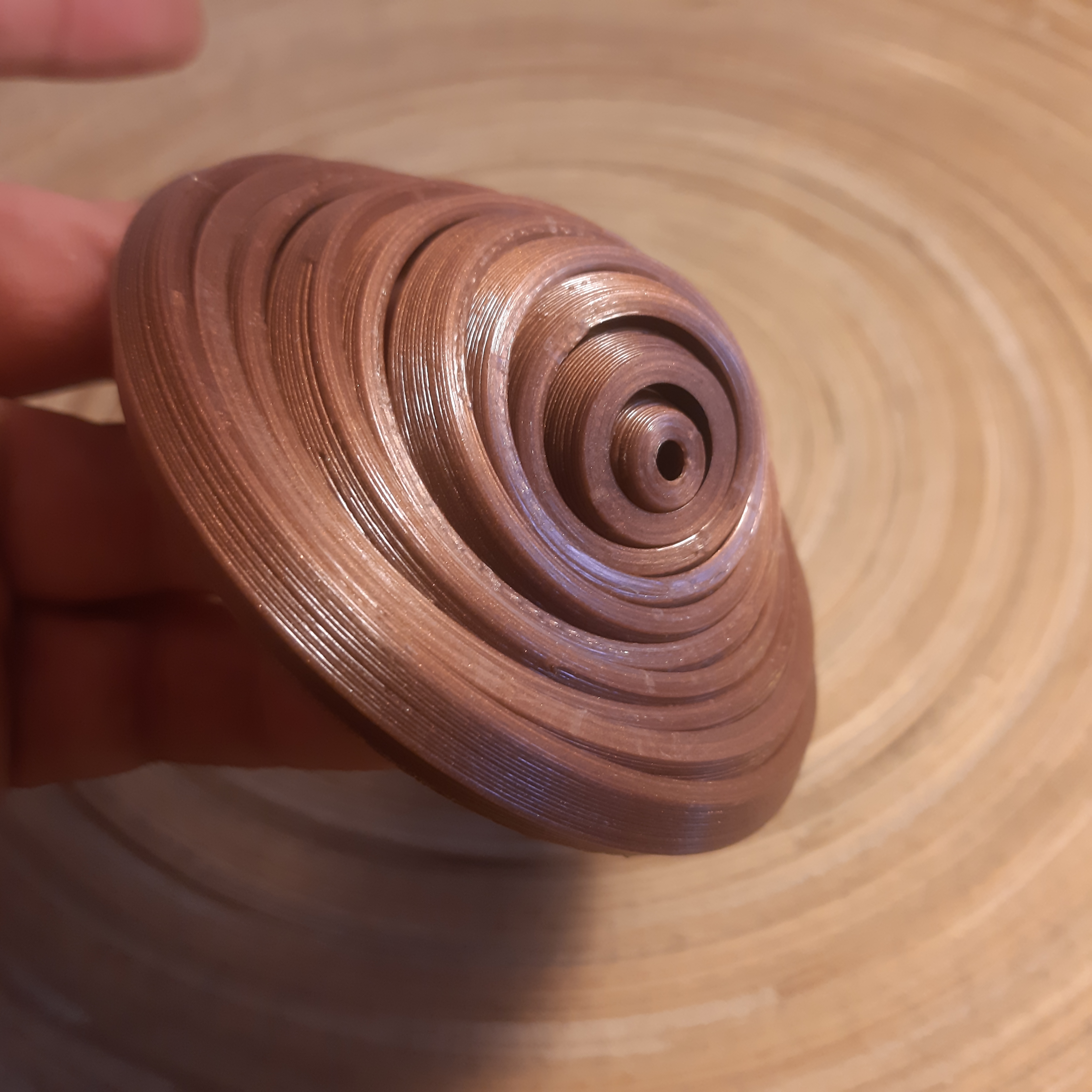 Chameleon Zen Toy