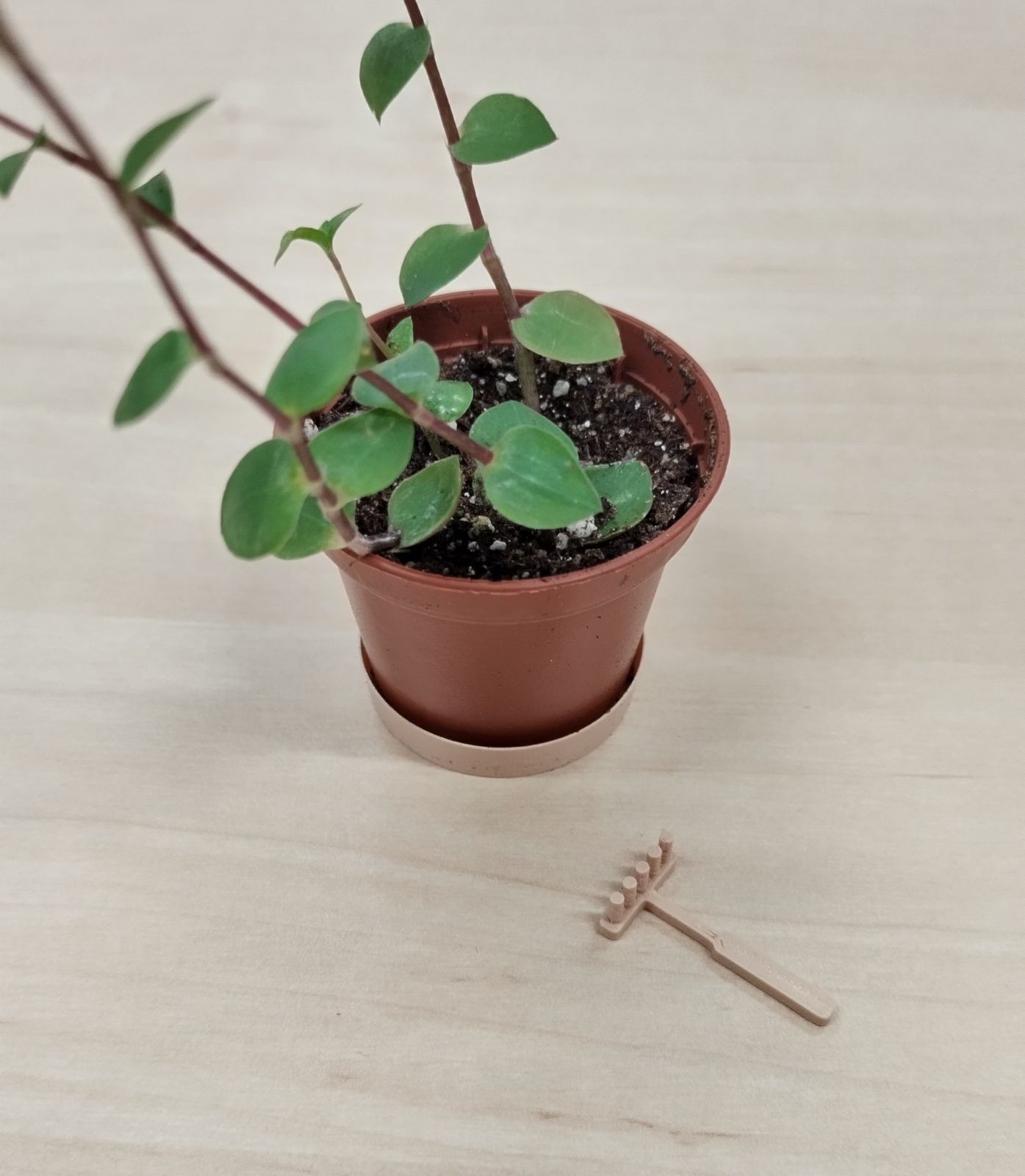 Tiny Zen Rake por E3De | Descargar modelo STL gratuito | Printables.com