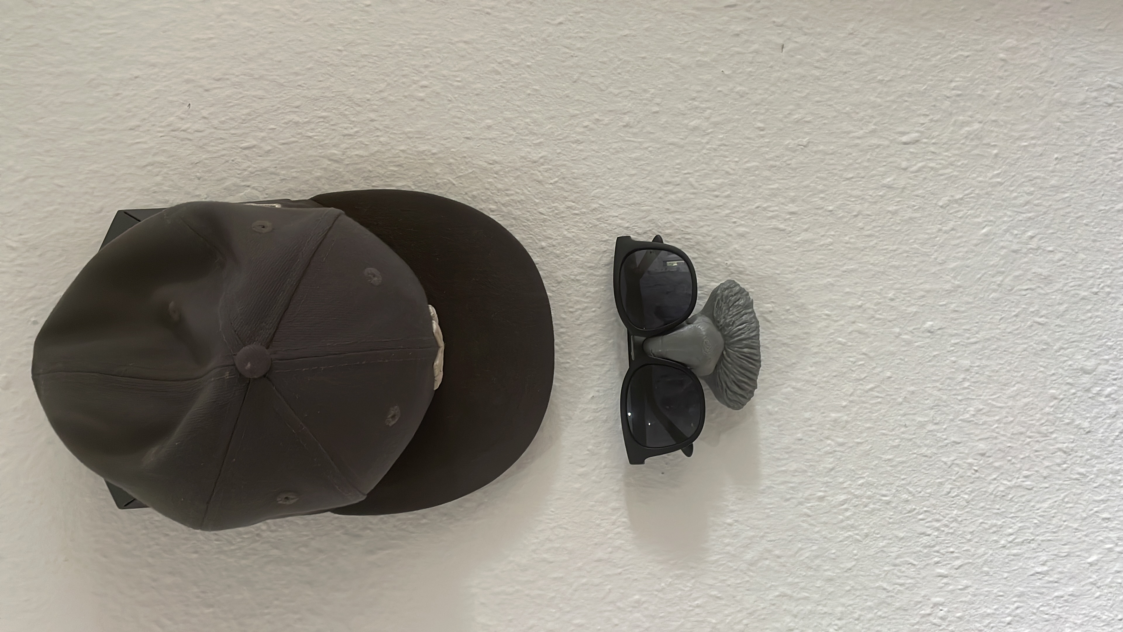 Einstein Sunglassesholder - Sonnenbrillenhalter