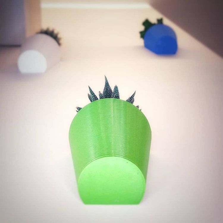 Magnetic wall pots