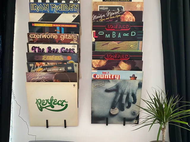 Vinyl holder/hanger (4 vinyls on 1 hanger)