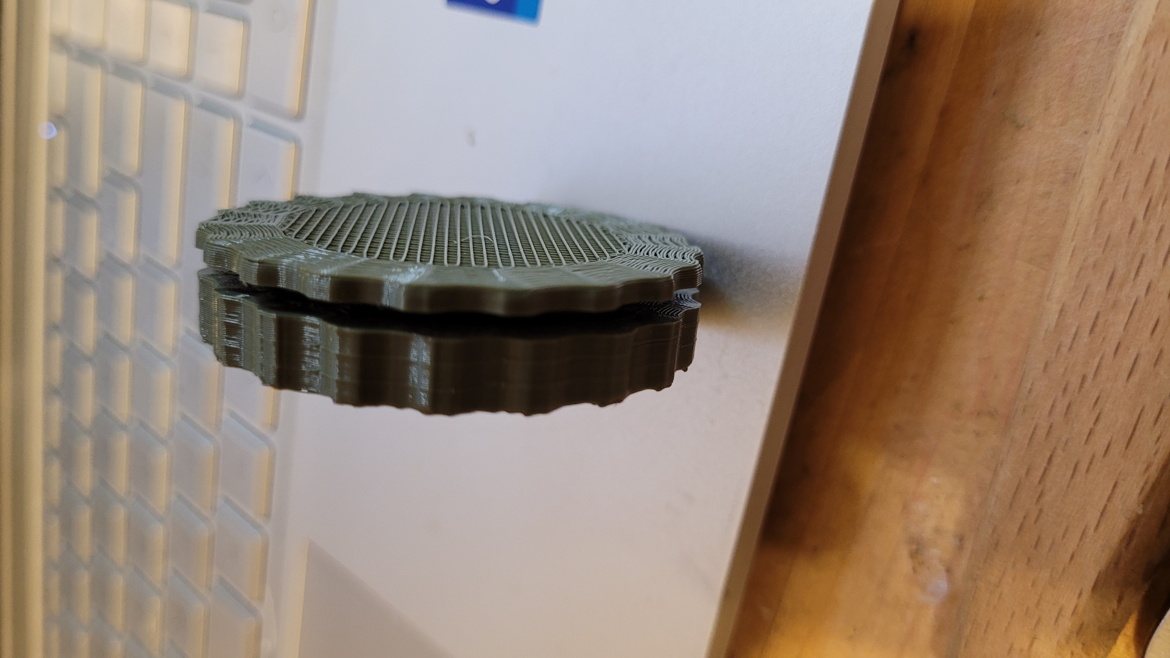 isopod or other invert/ terrarium vent