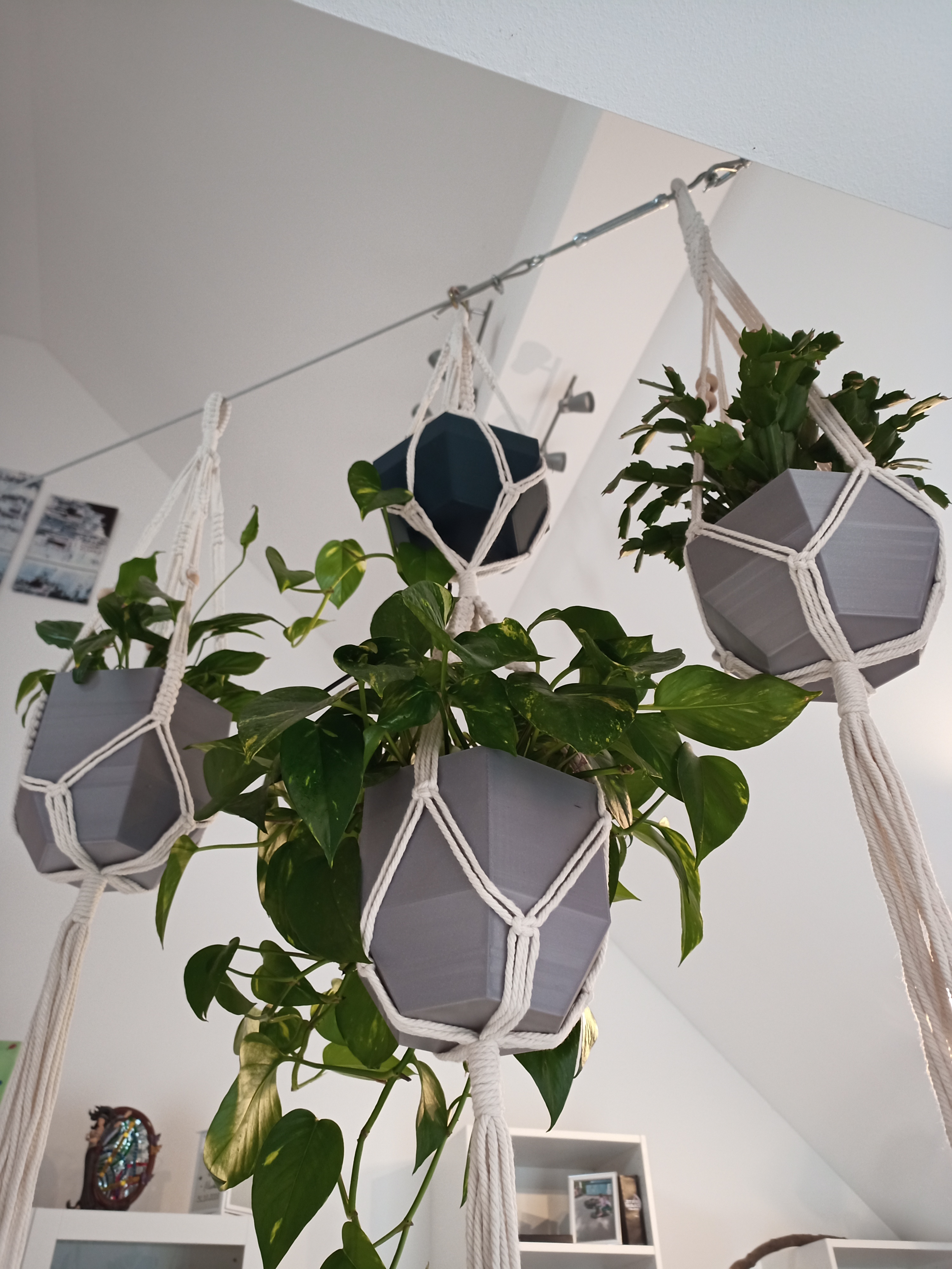 Hexagonal pots and wall-mounted pots