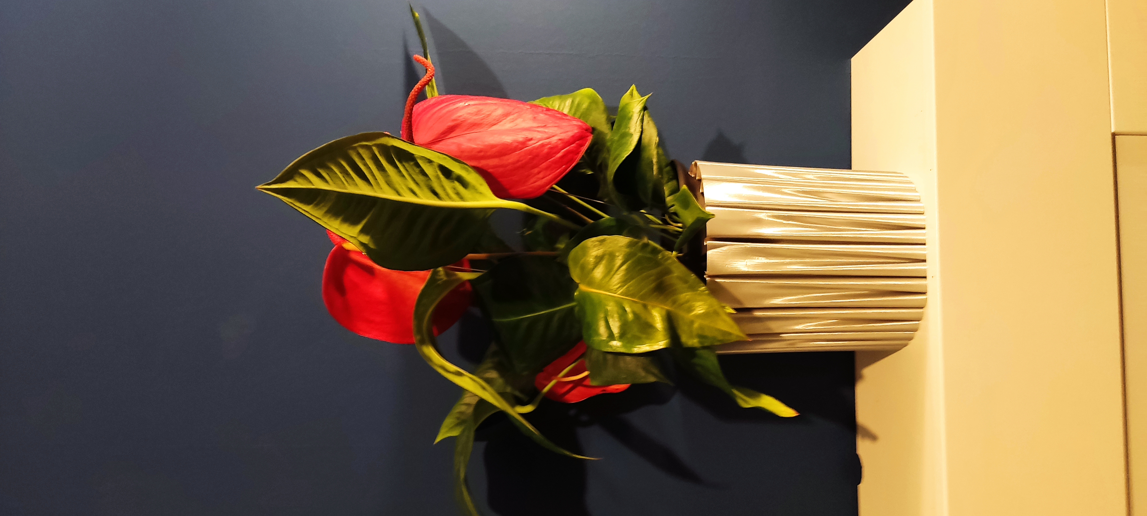 Large beautiful flower pot with automatic watering