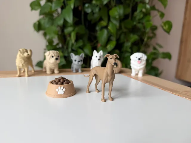 Greyhound