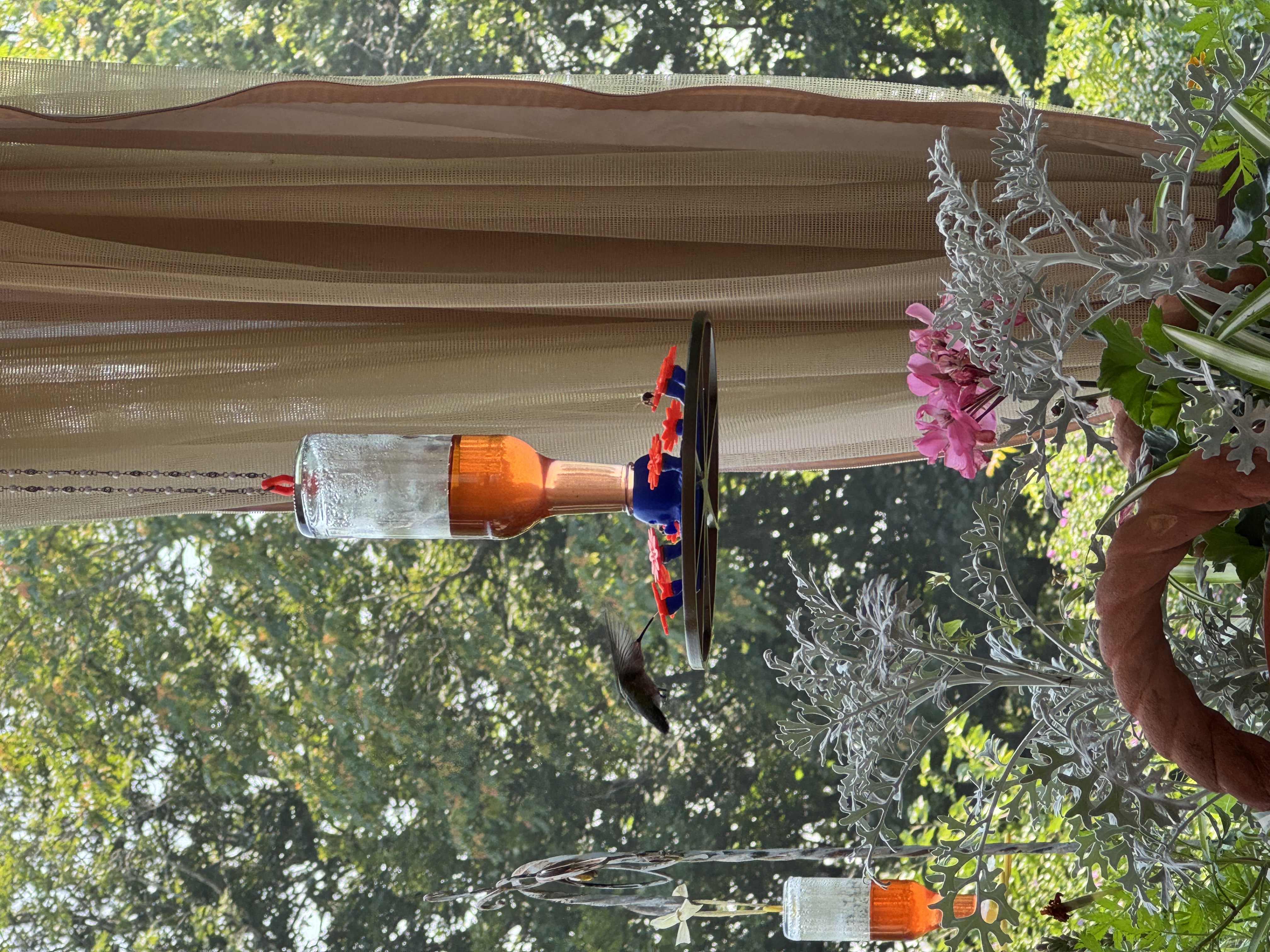 Octopus Hummingbird Feeder — miniatura 13