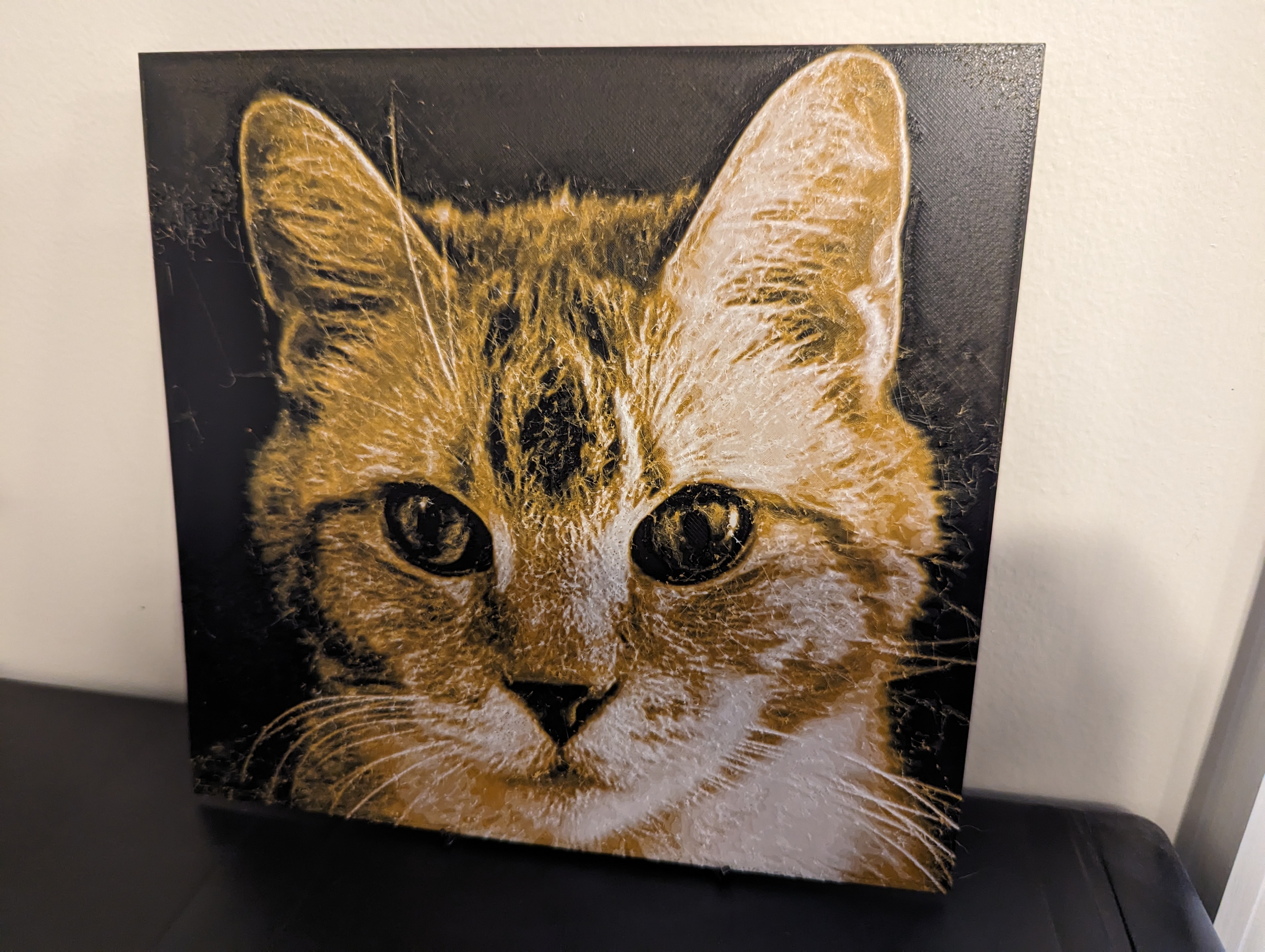 Cat Portrait (HueForge)