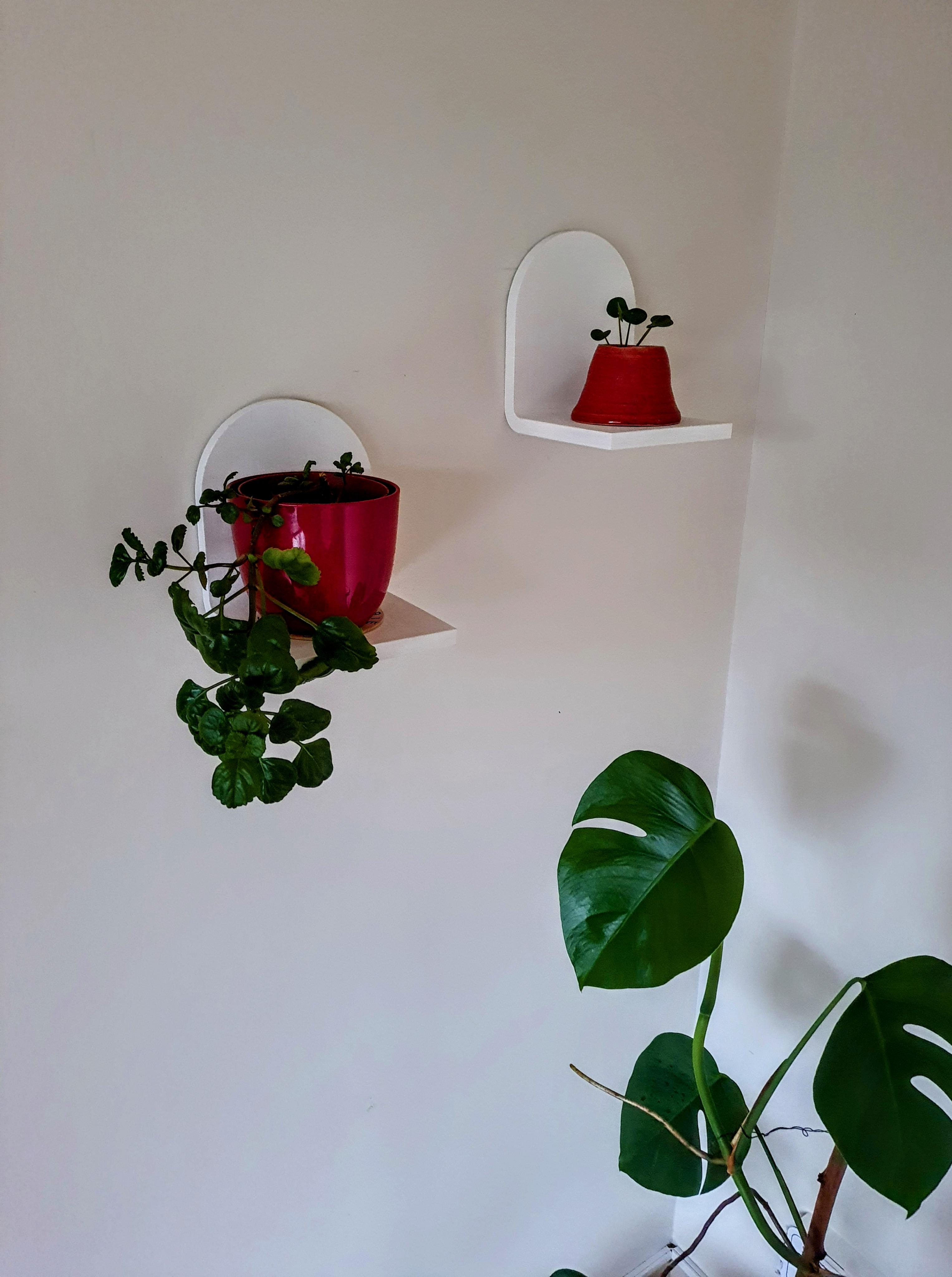 Mini plant shelf / floating shelf