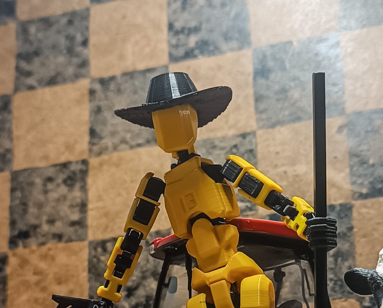 DUMMY 13 cowboy hat