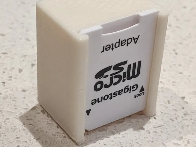 MicroSD Case