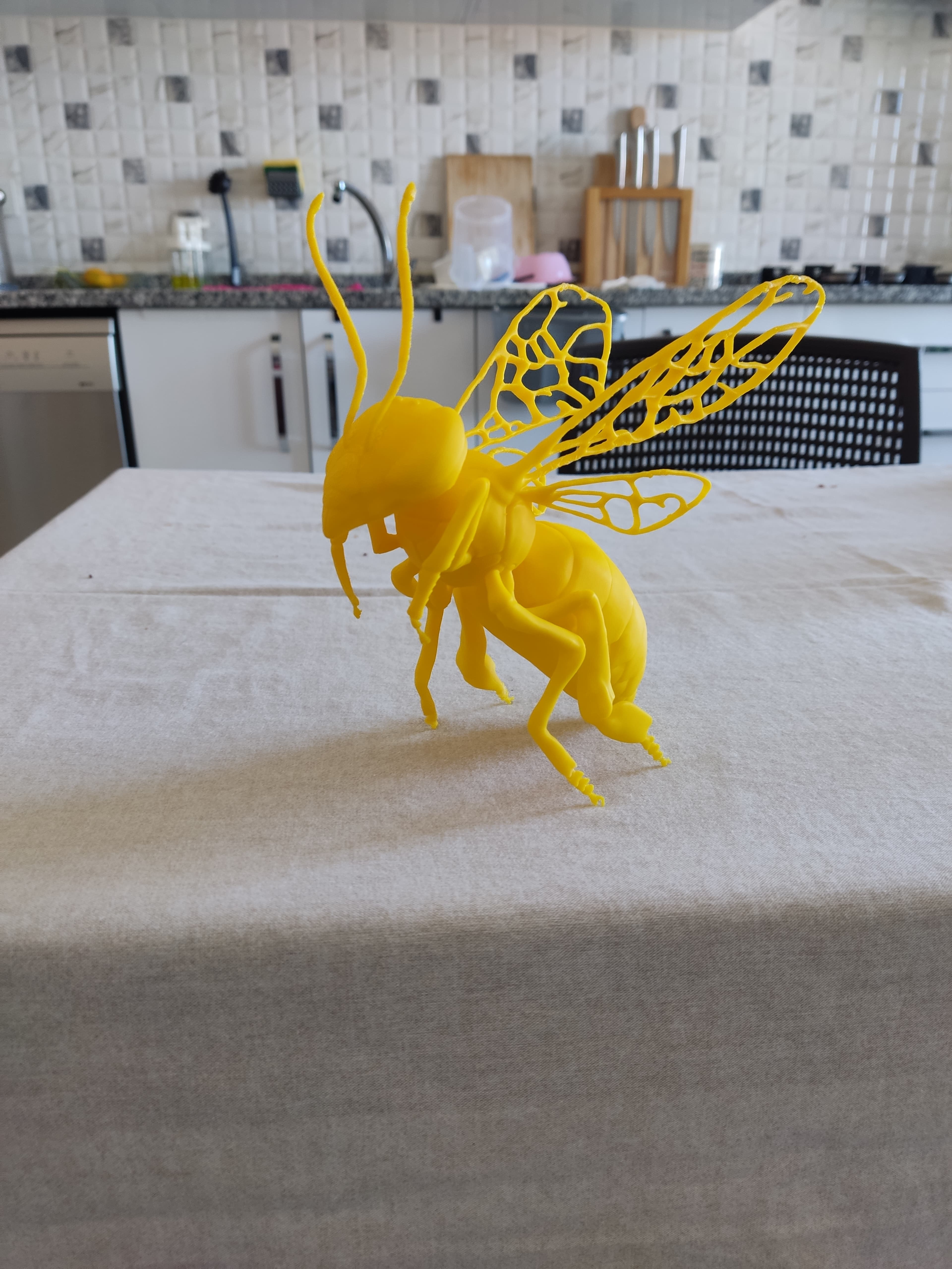 Honey Bee