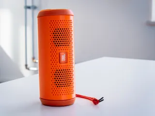JBL Flip3 Protective Shield by Tmpx64 | Download free STL model
