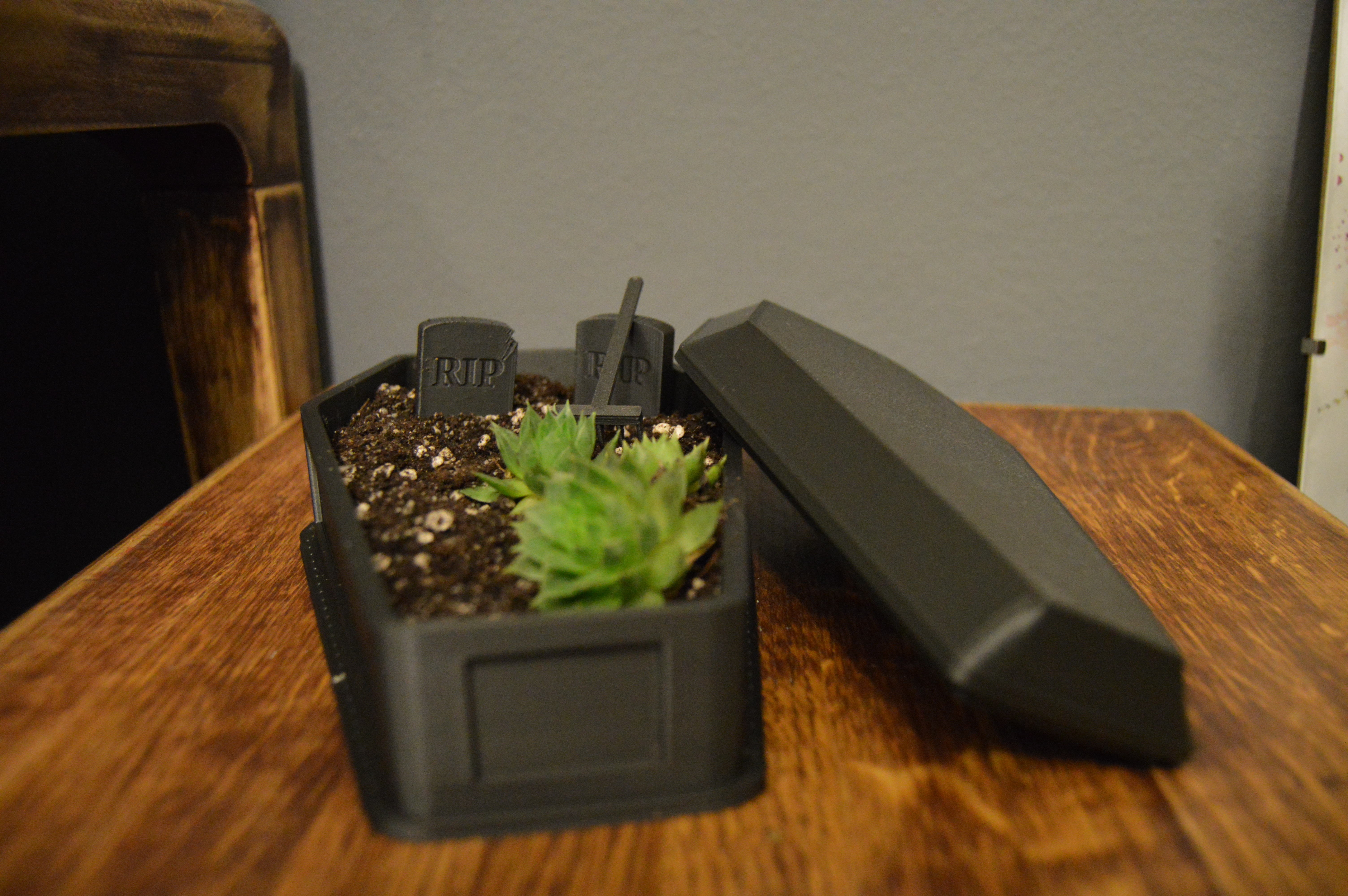Coffin zen garden / flower pot