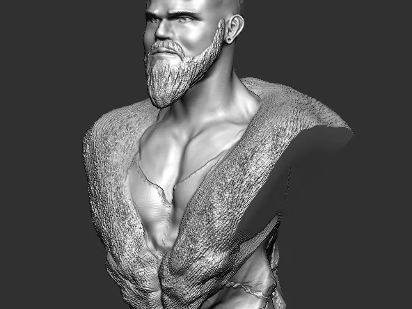 Viking Bust