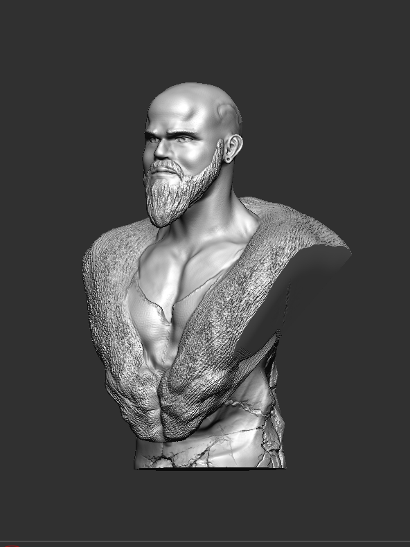 Viking Bust