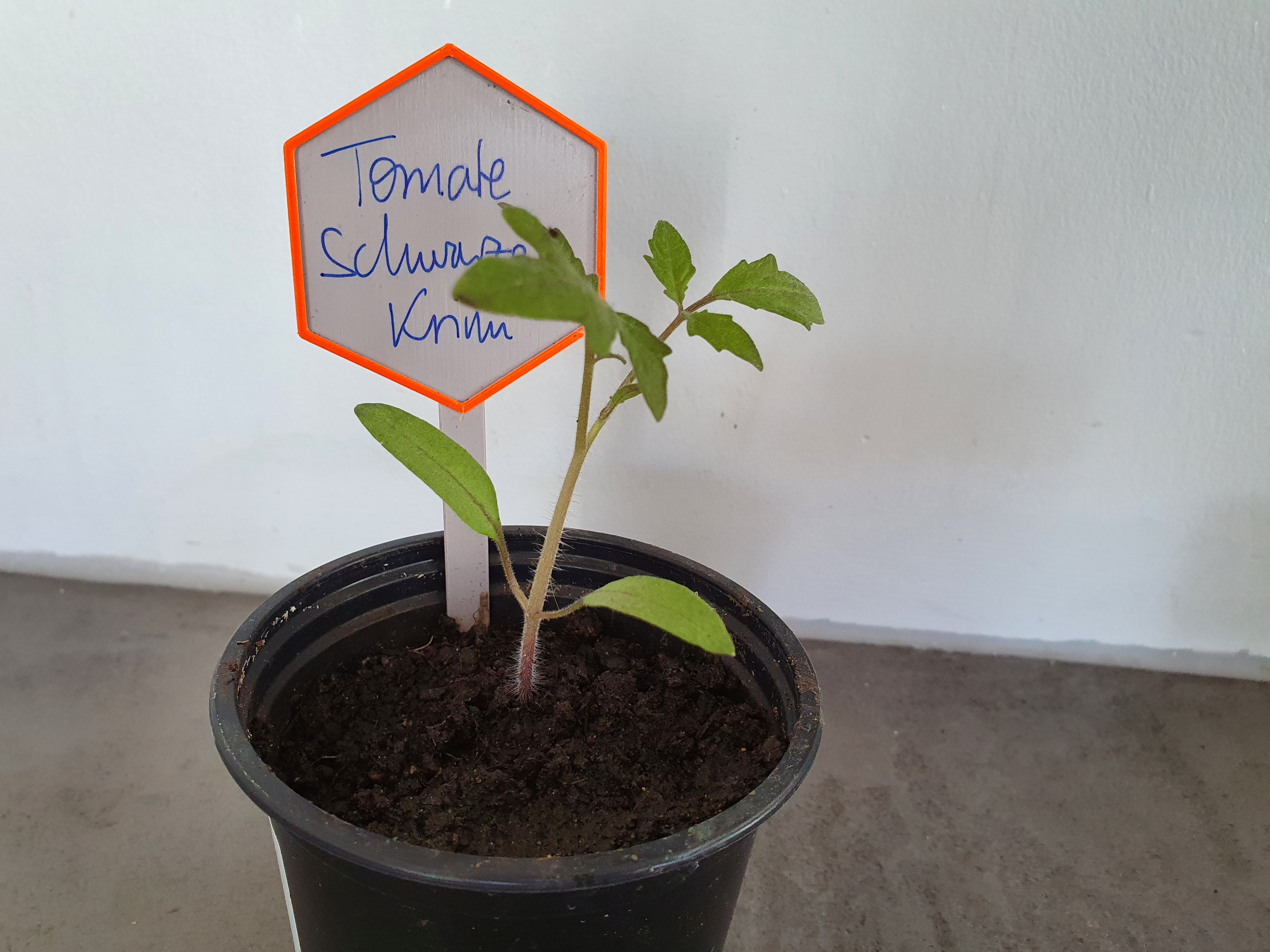 Plant Label - Prusa Style