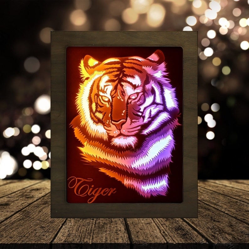 Tiger Head Looking Straight lightbox