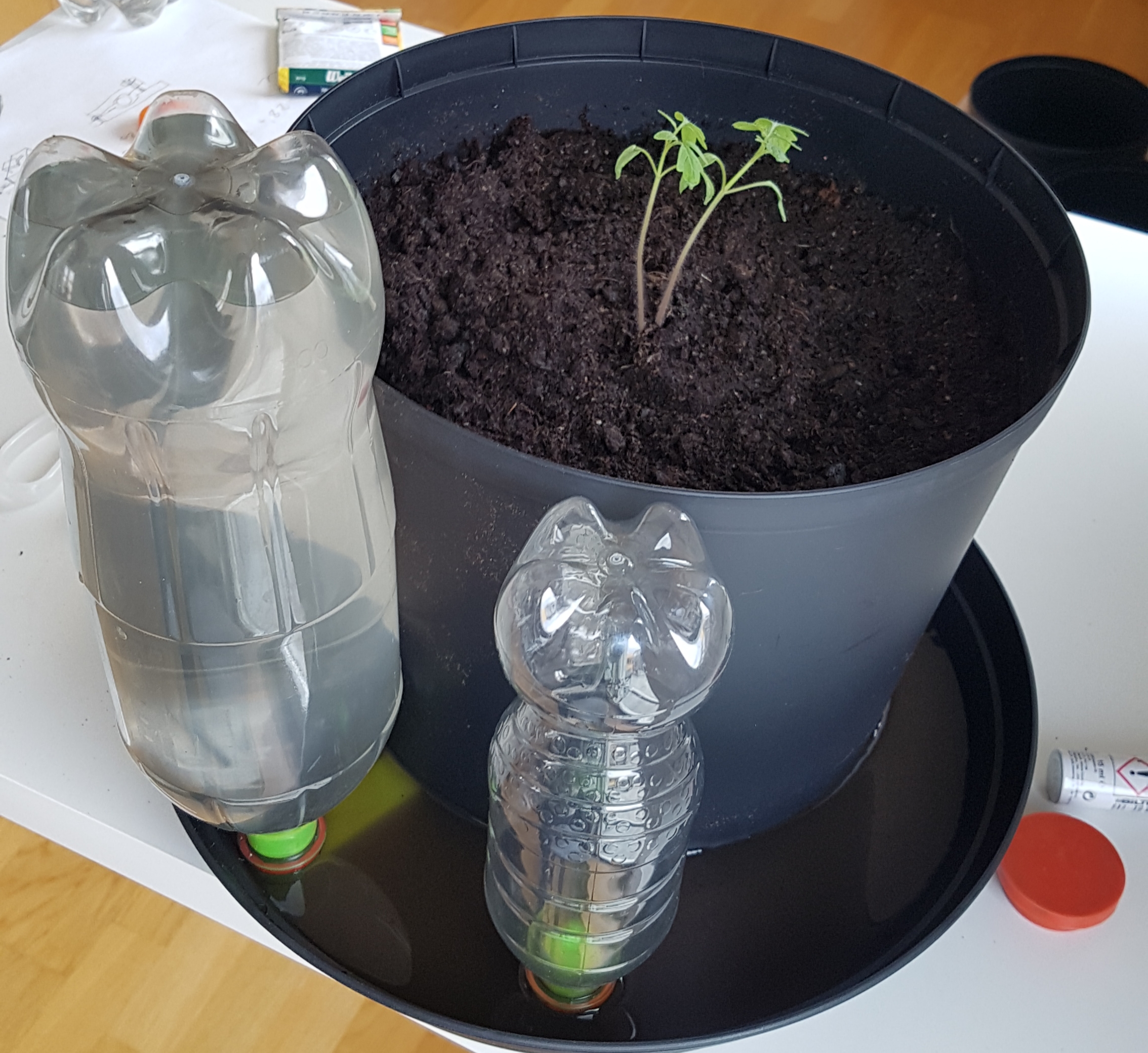 Self-watering plant container spike for PET bottles