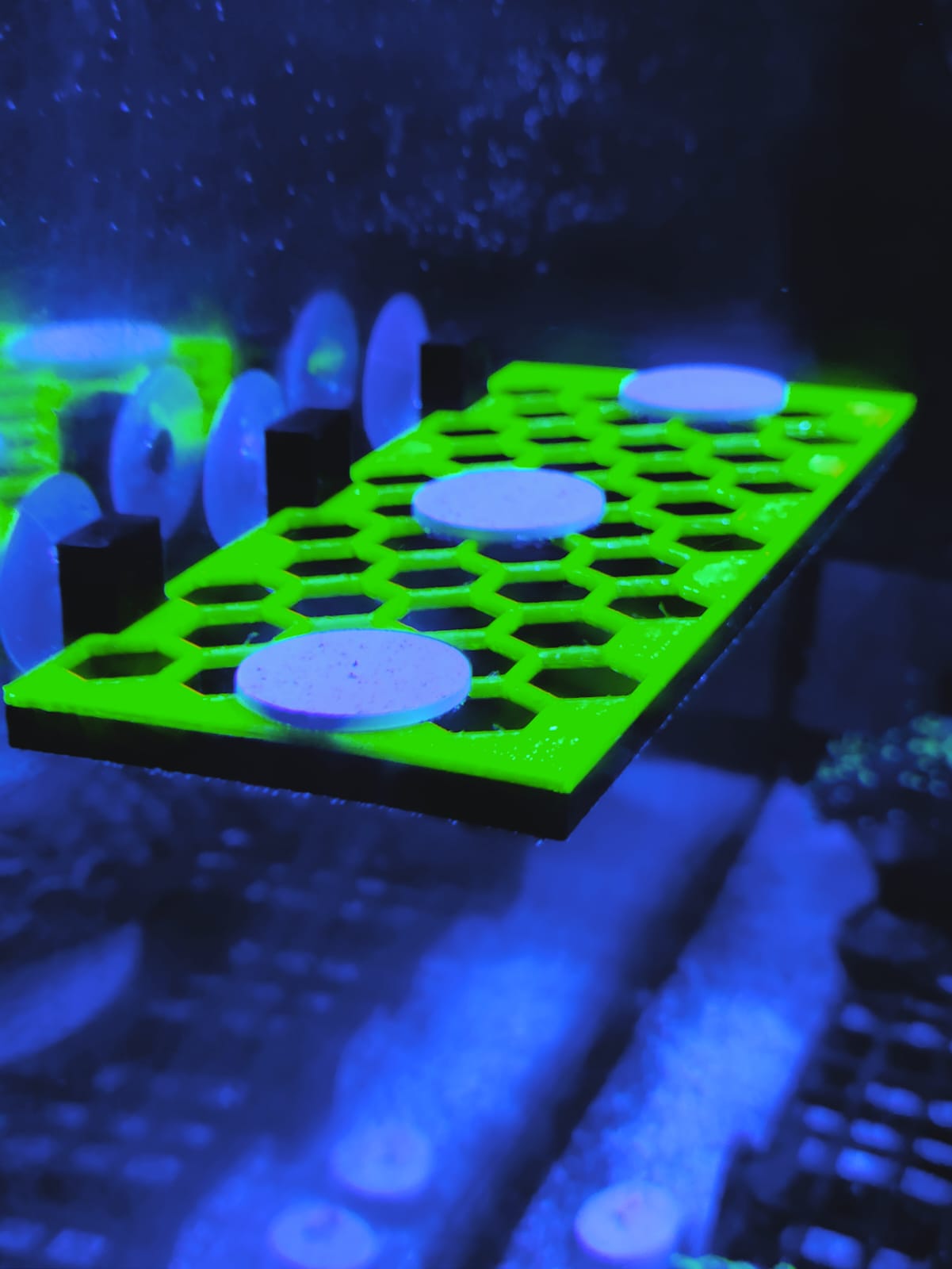Frag Rack Hexagonal