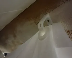 Curtain Ring