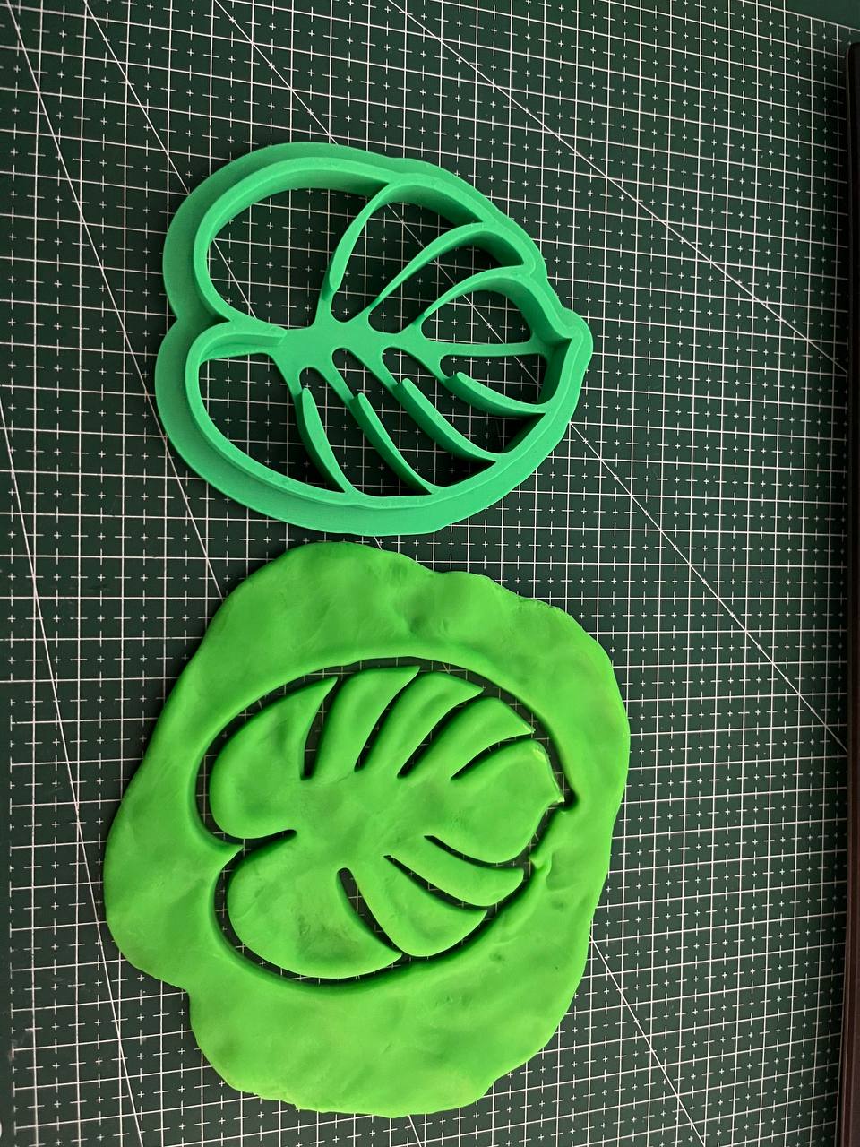 Miniatura 4 do modelo 3D Monstera leaf cutter