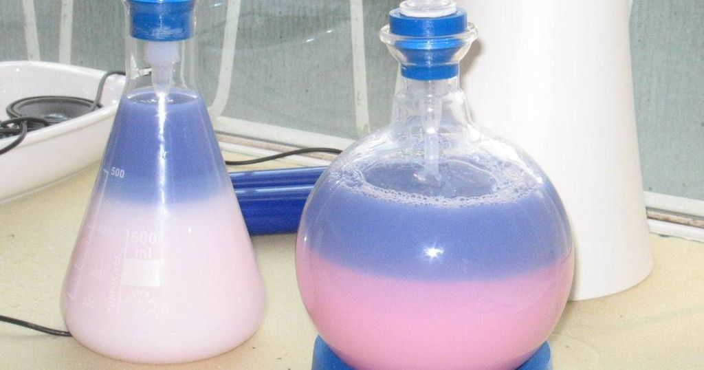 Erlenmeyer flasks caps and pump holes by waste Download free STL