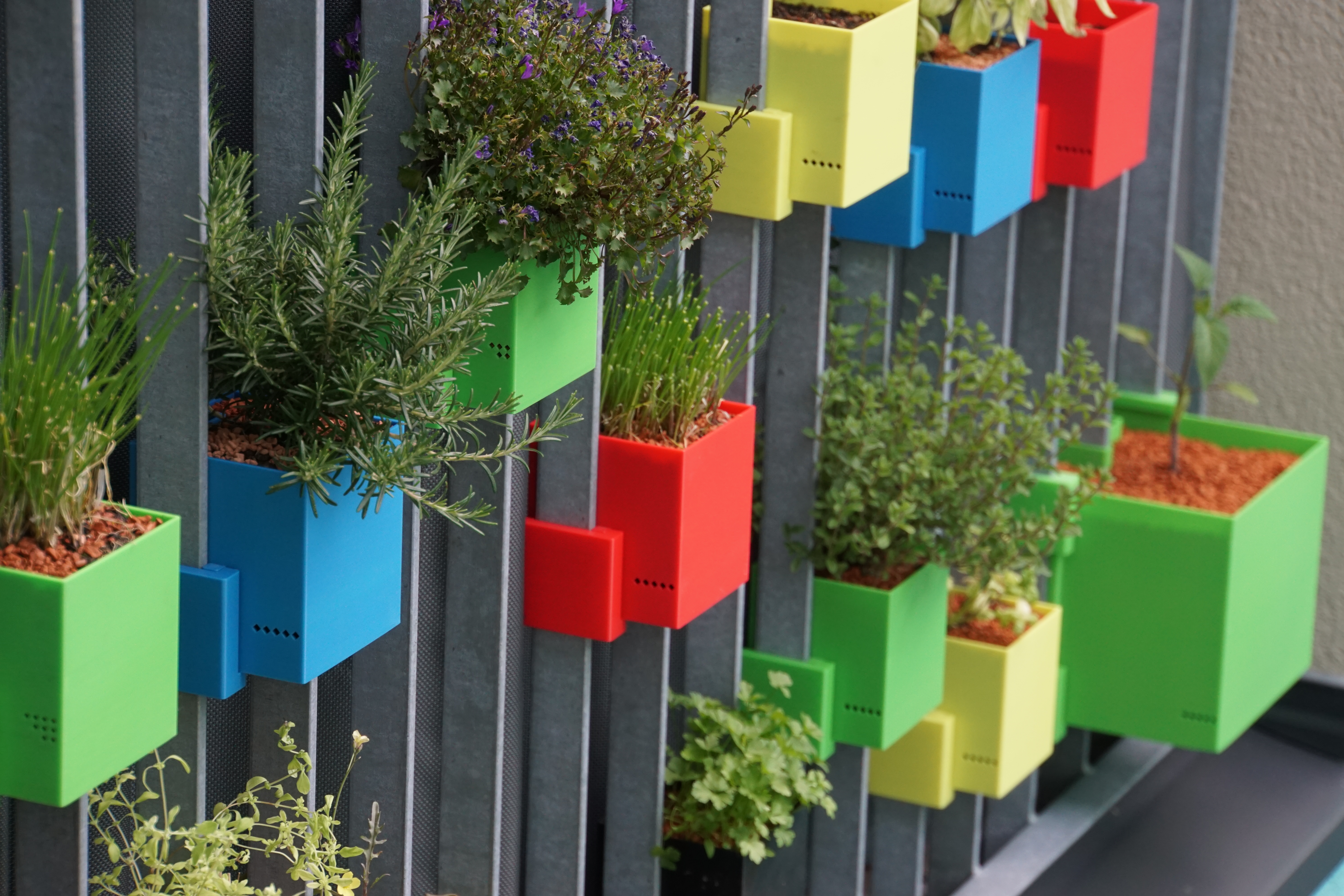 Glowpear Mini Wall Planter - Self Watering Vertical Garden Planter Box -  Greenlife