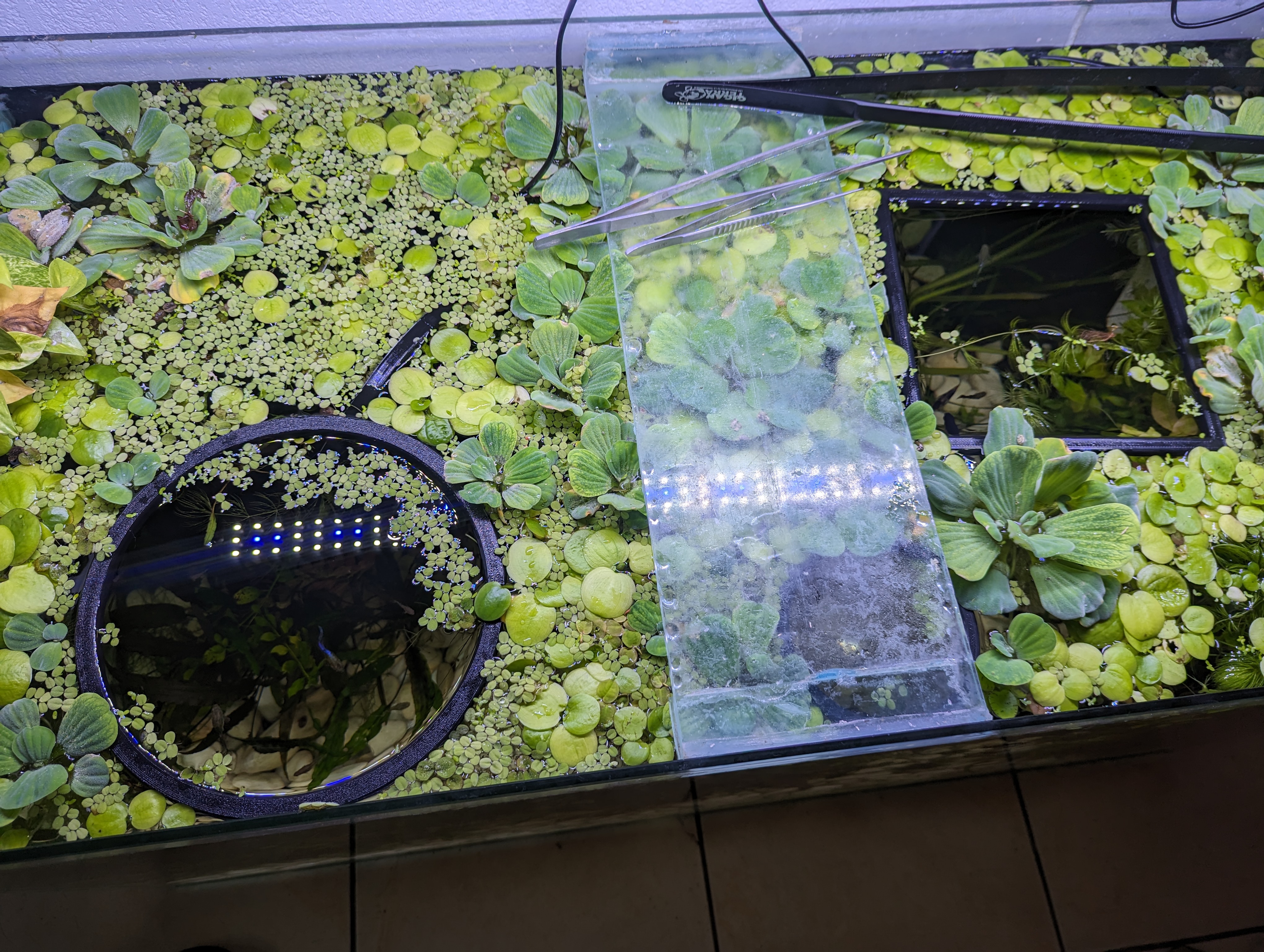 Big circle and square aquarium portals