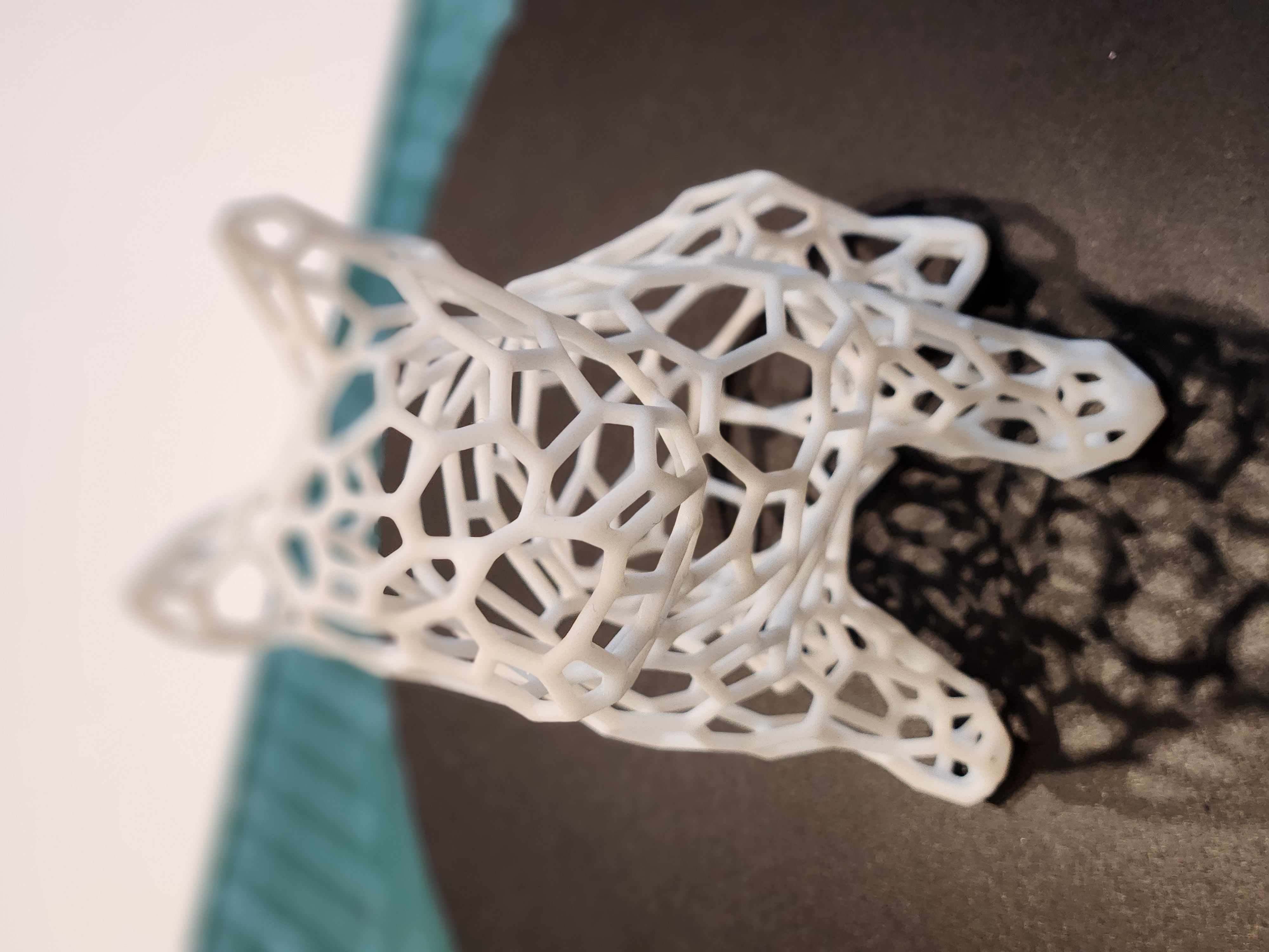 Frenchie Voronoi