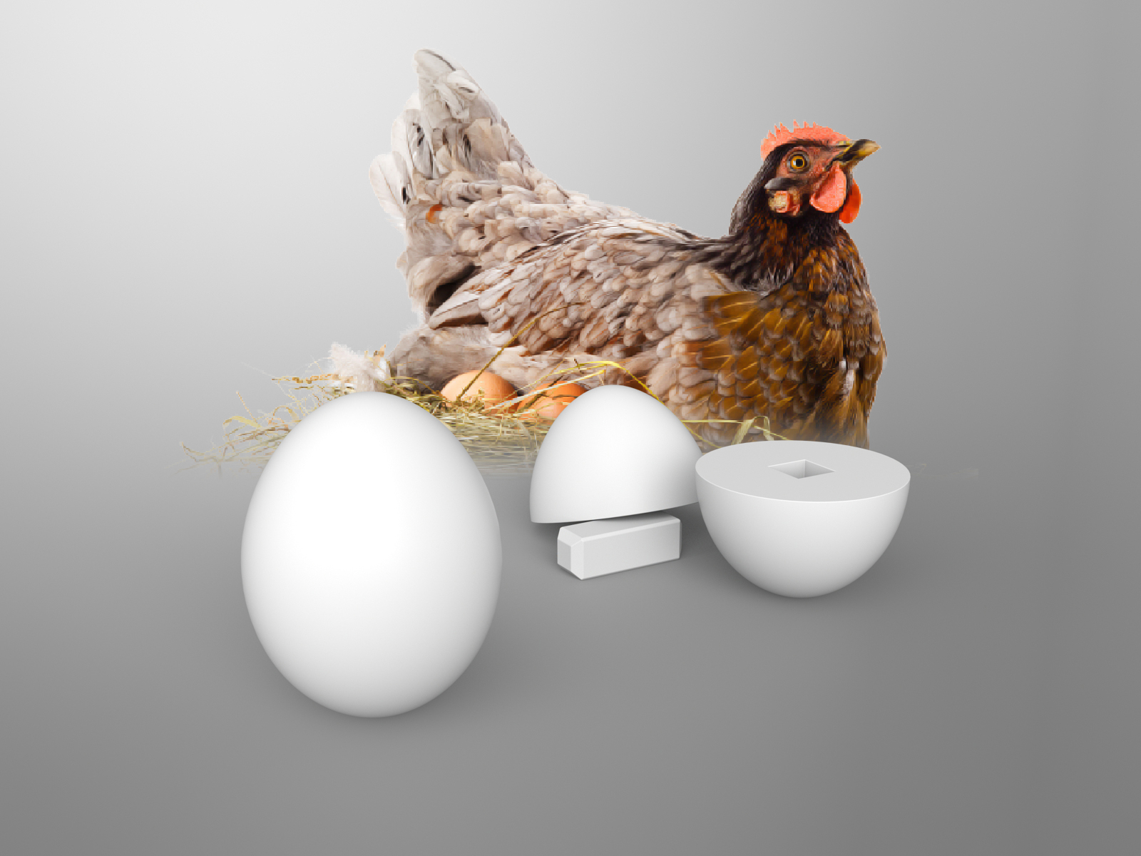 Dummy Chicken Egg for Farmer