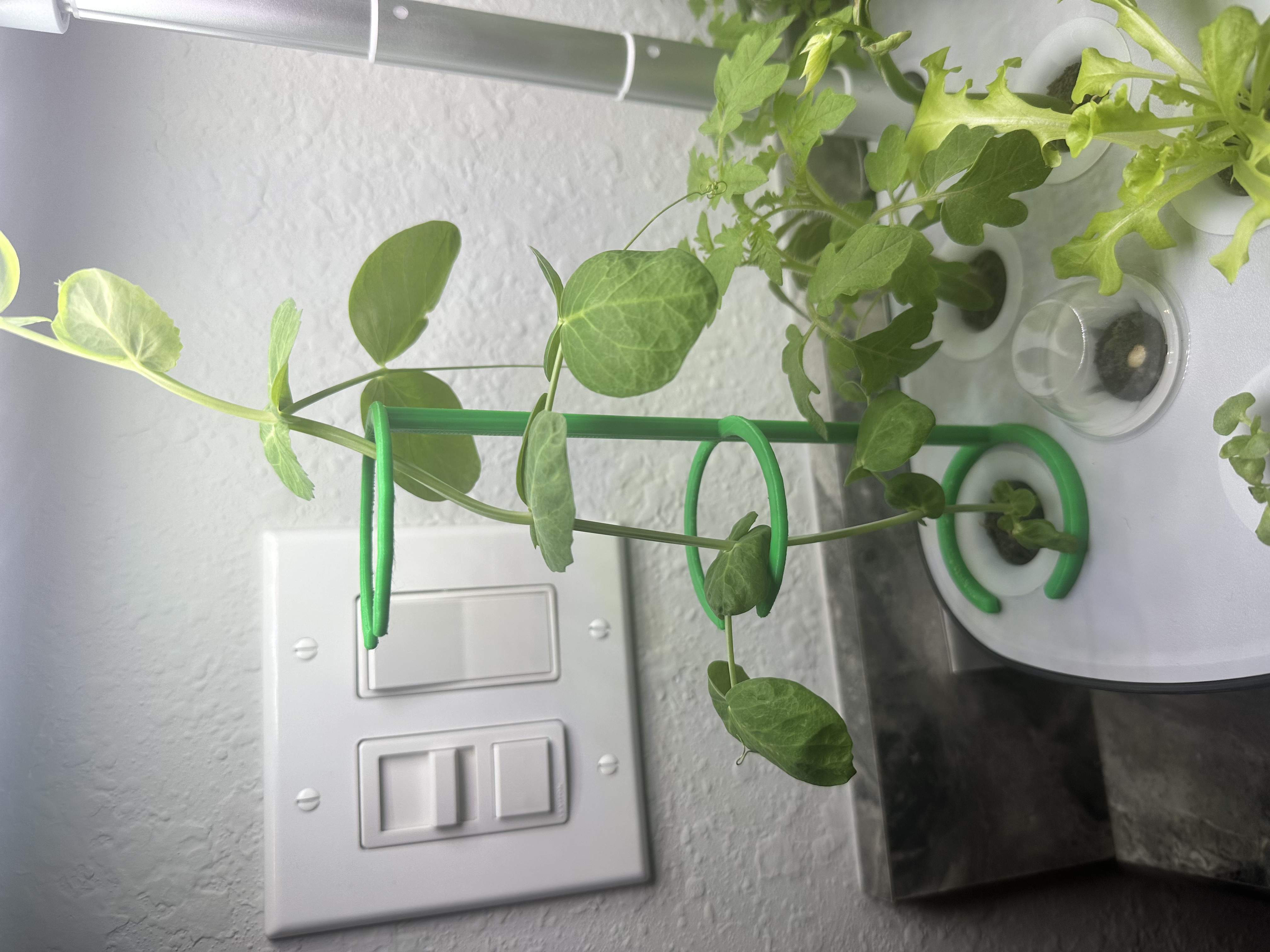 Hydroponic Plant Support