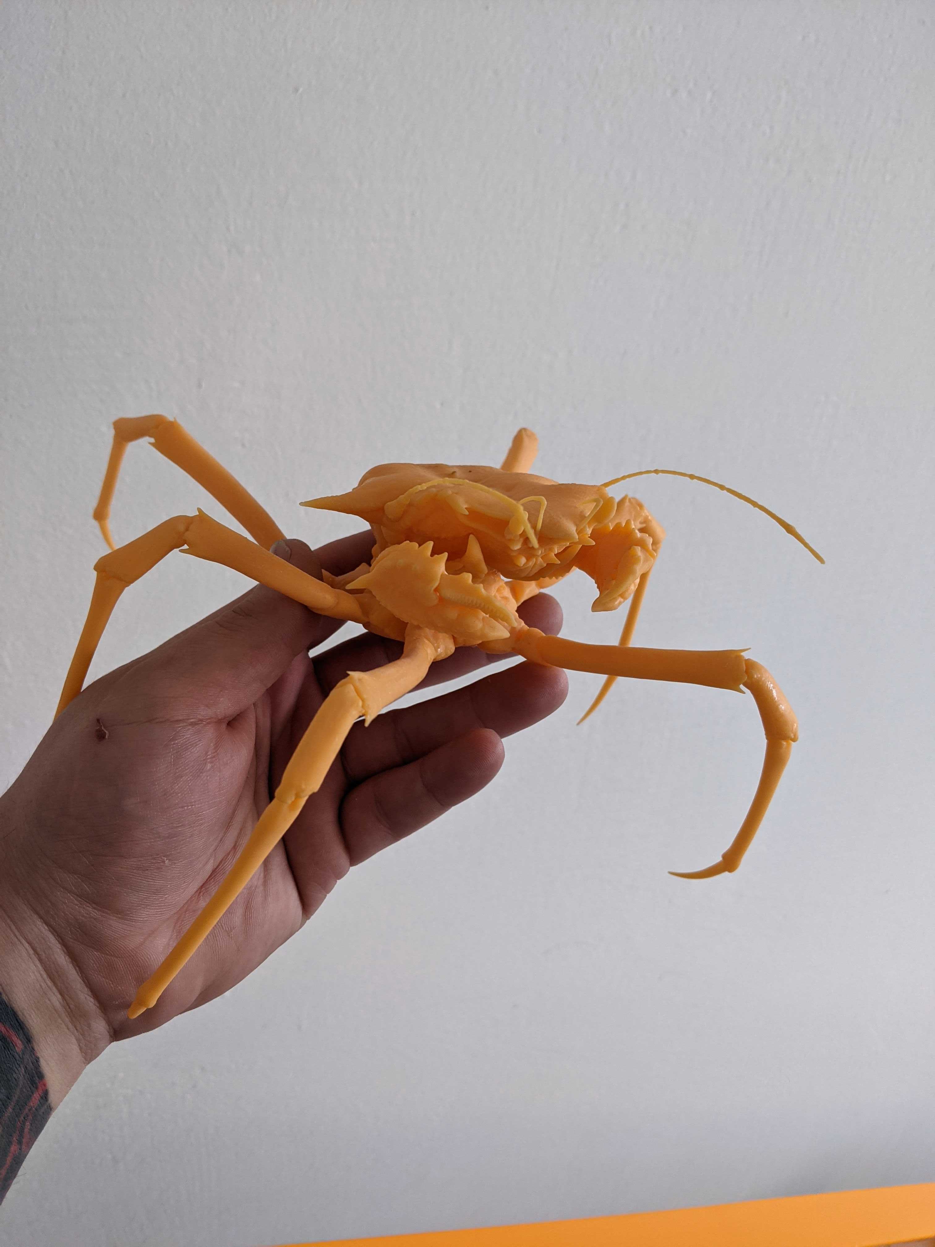 Freehand crab — miniatura 2