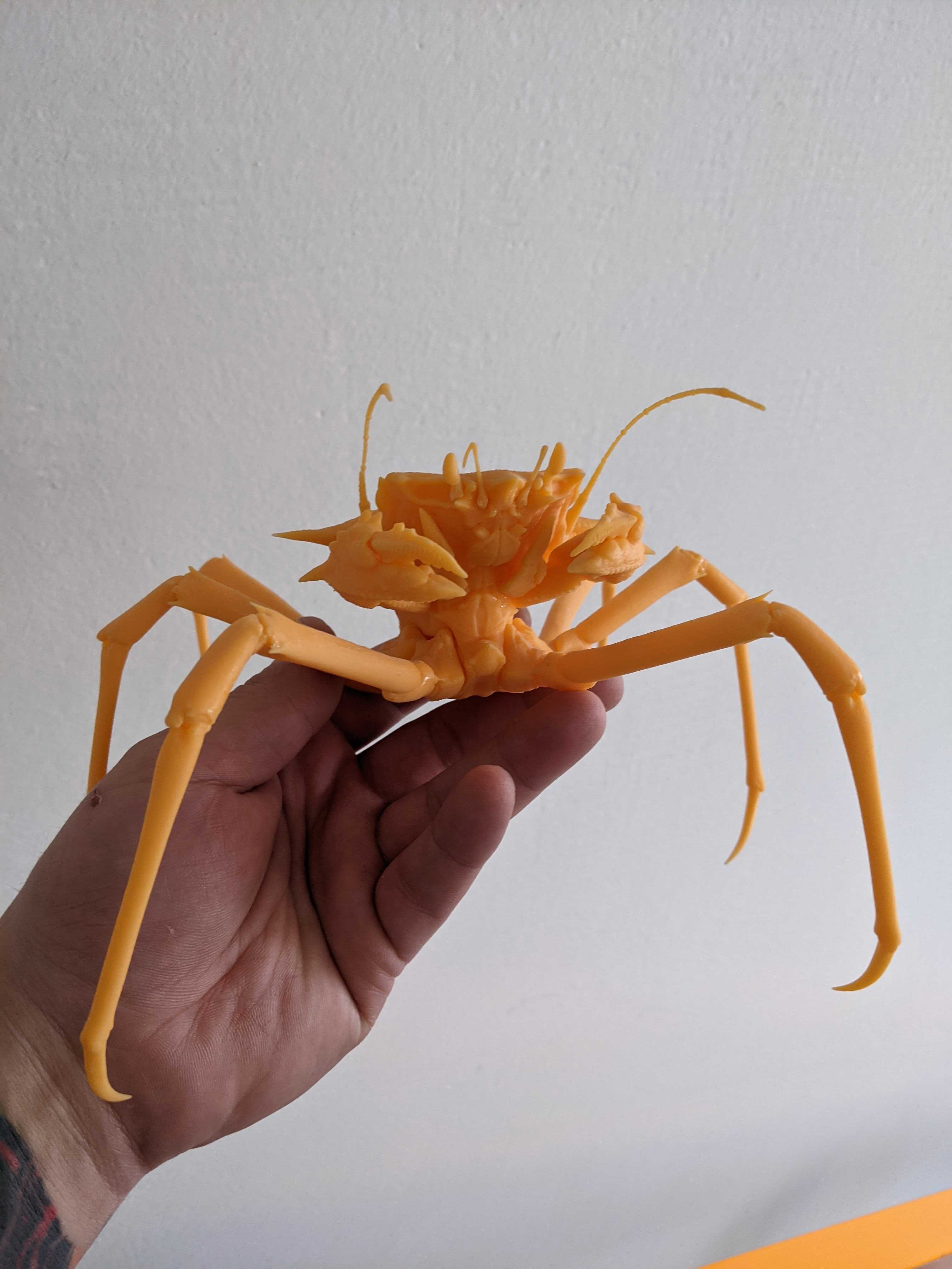 Freehand crab