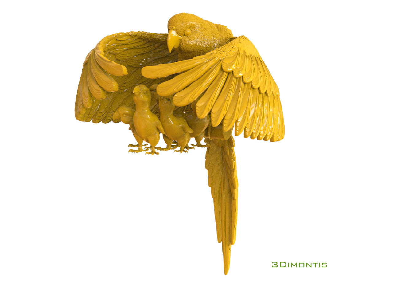 parrot