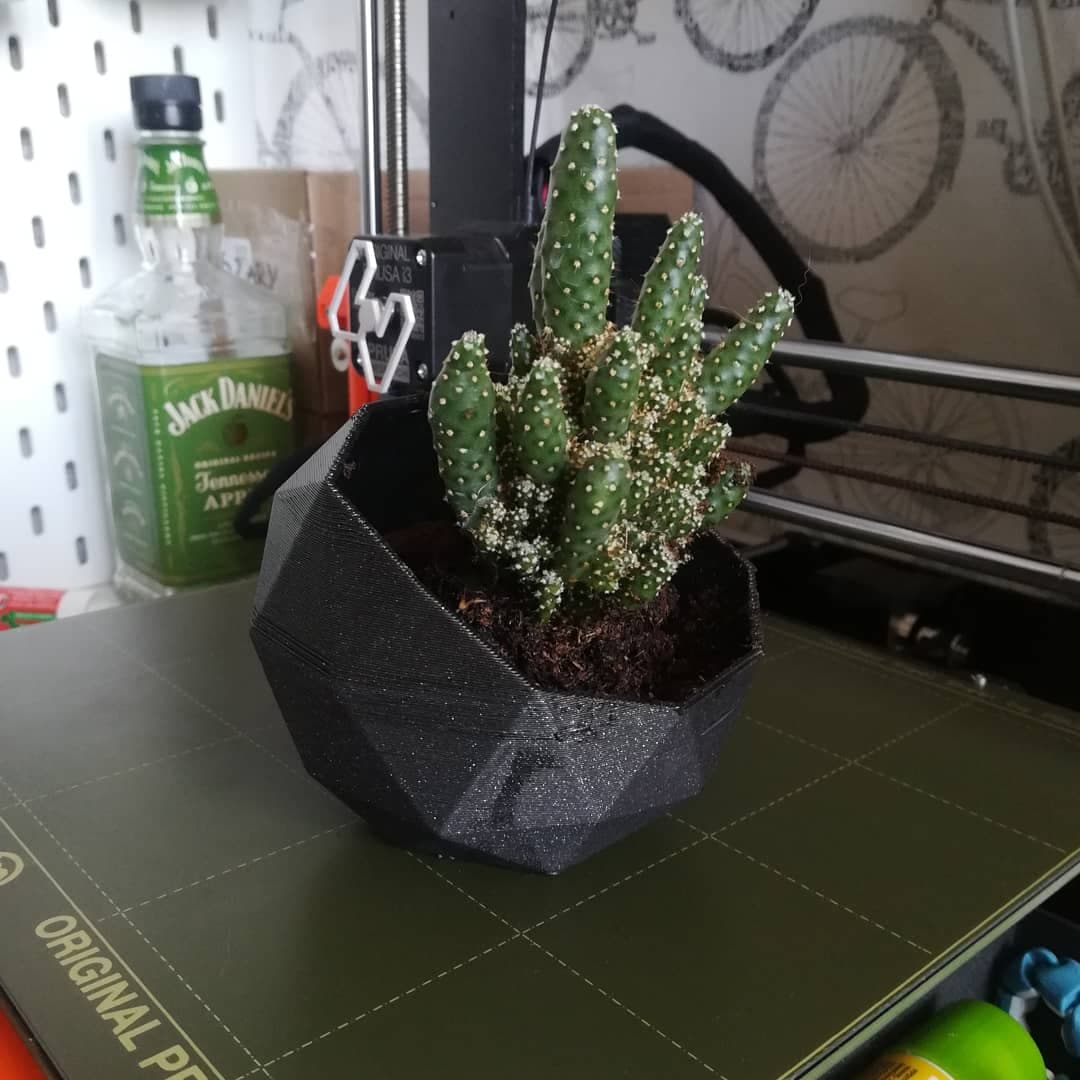 Geometric Cactus Pot