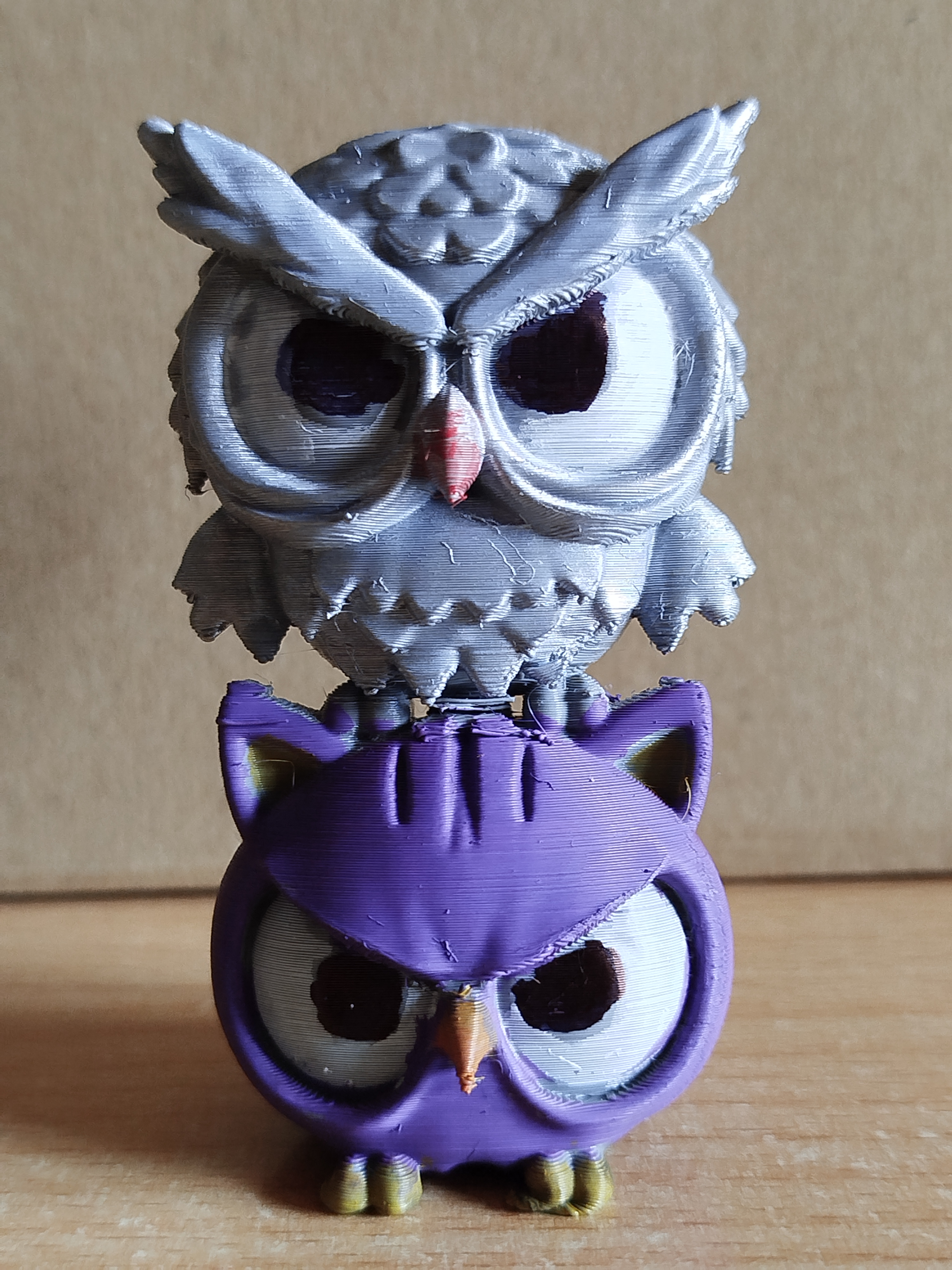 angry cat owl
