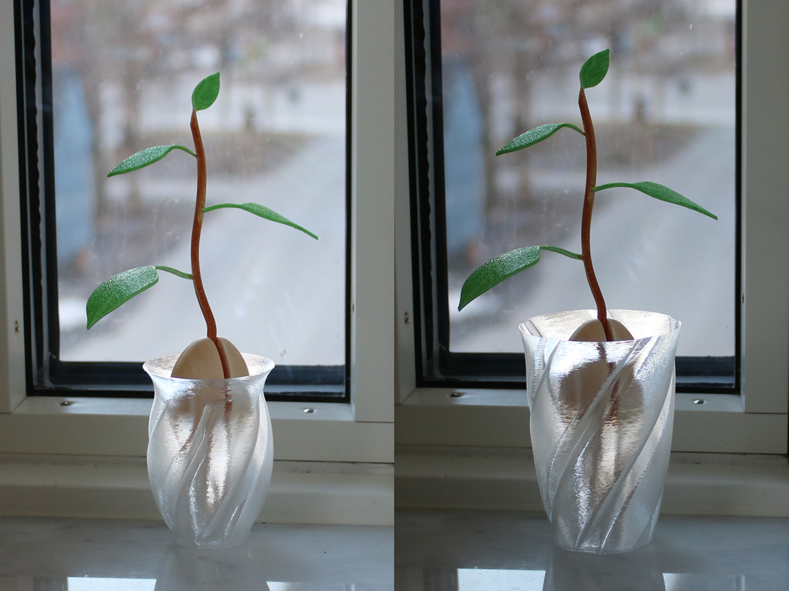 Avocado seed vases