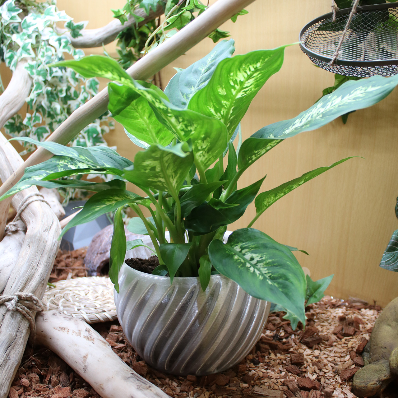 Twisted flower pot