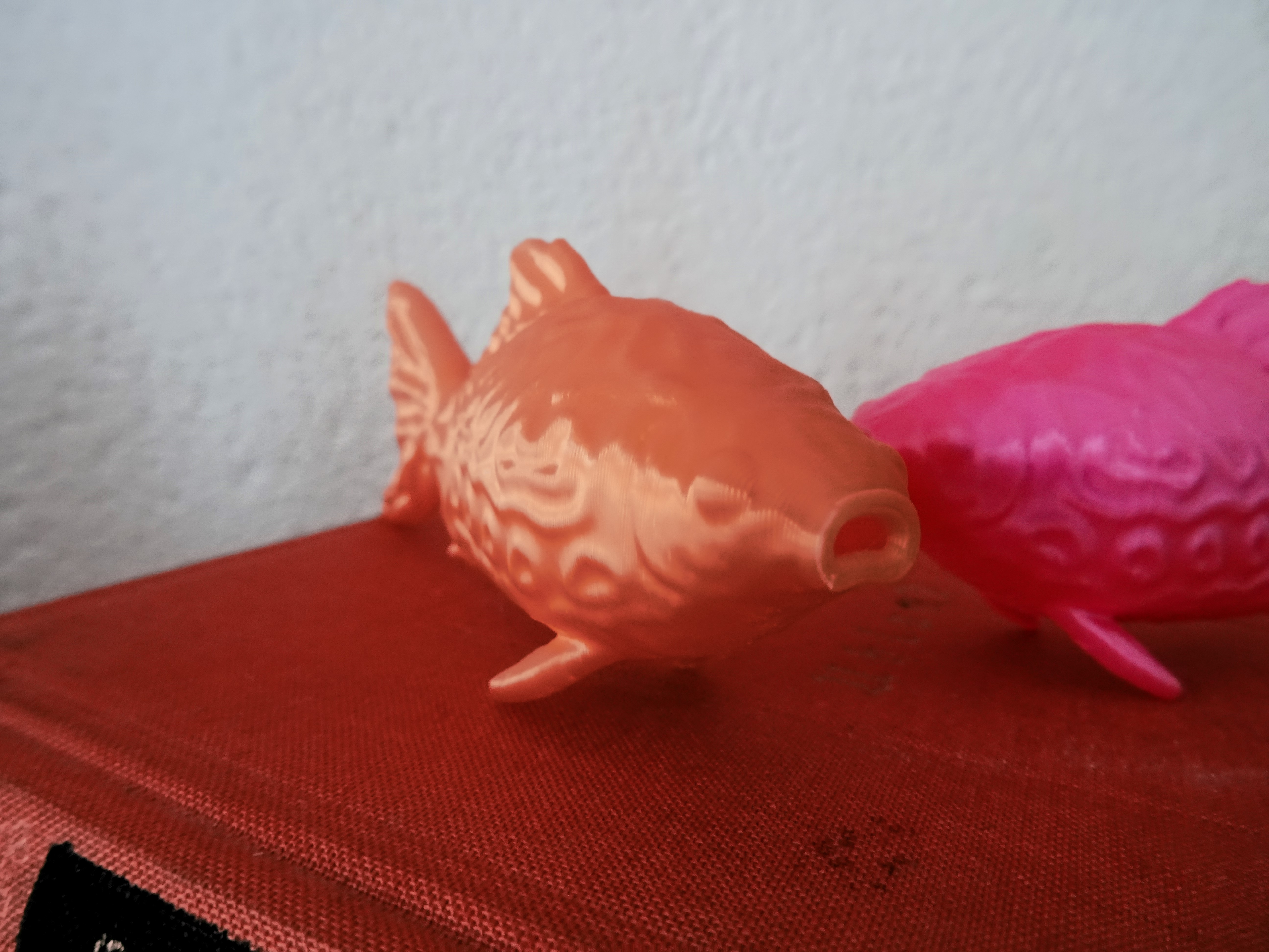 Miniatura 2 do modelo 3D Goldfish test