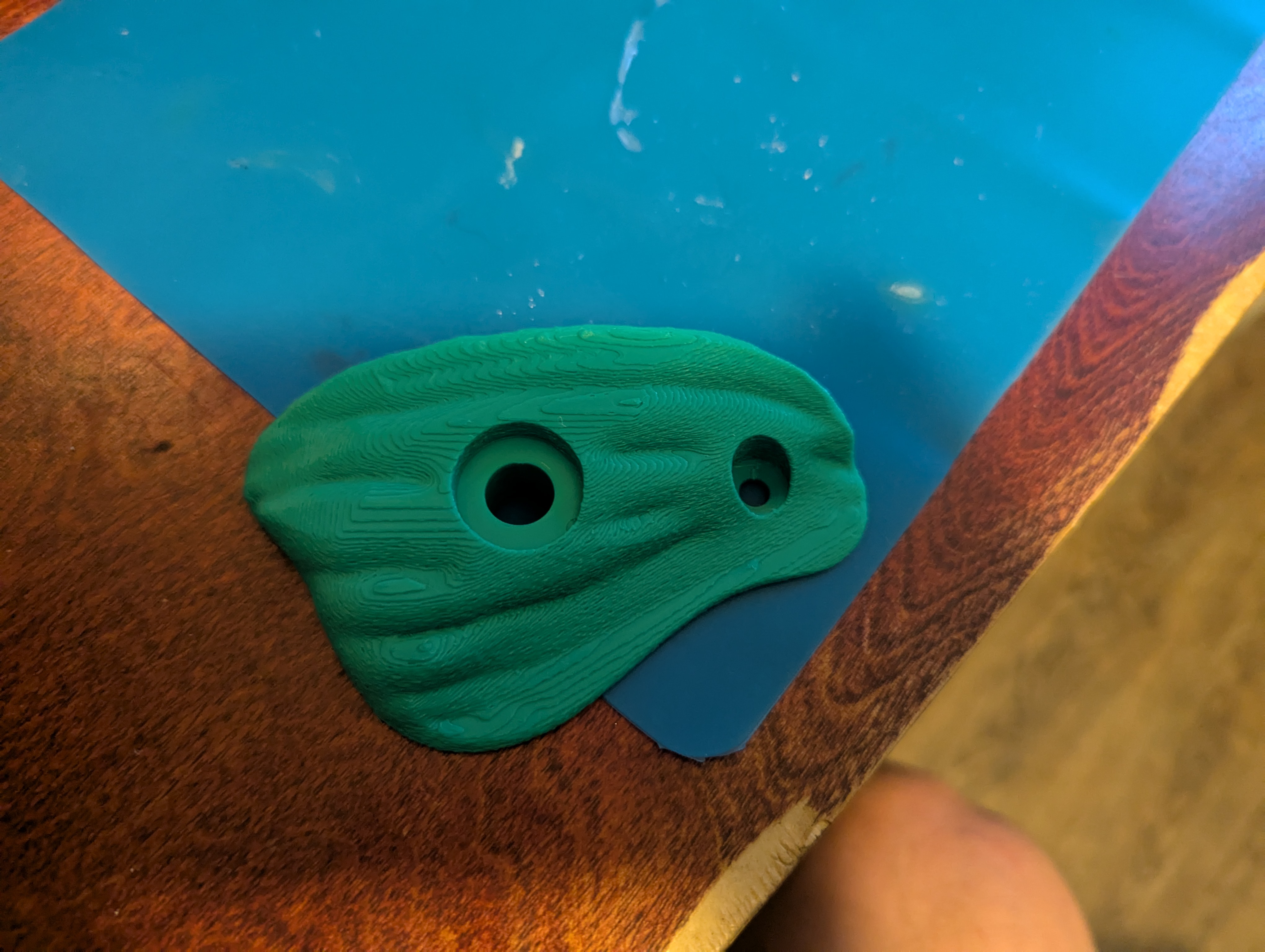 Climbing Holds