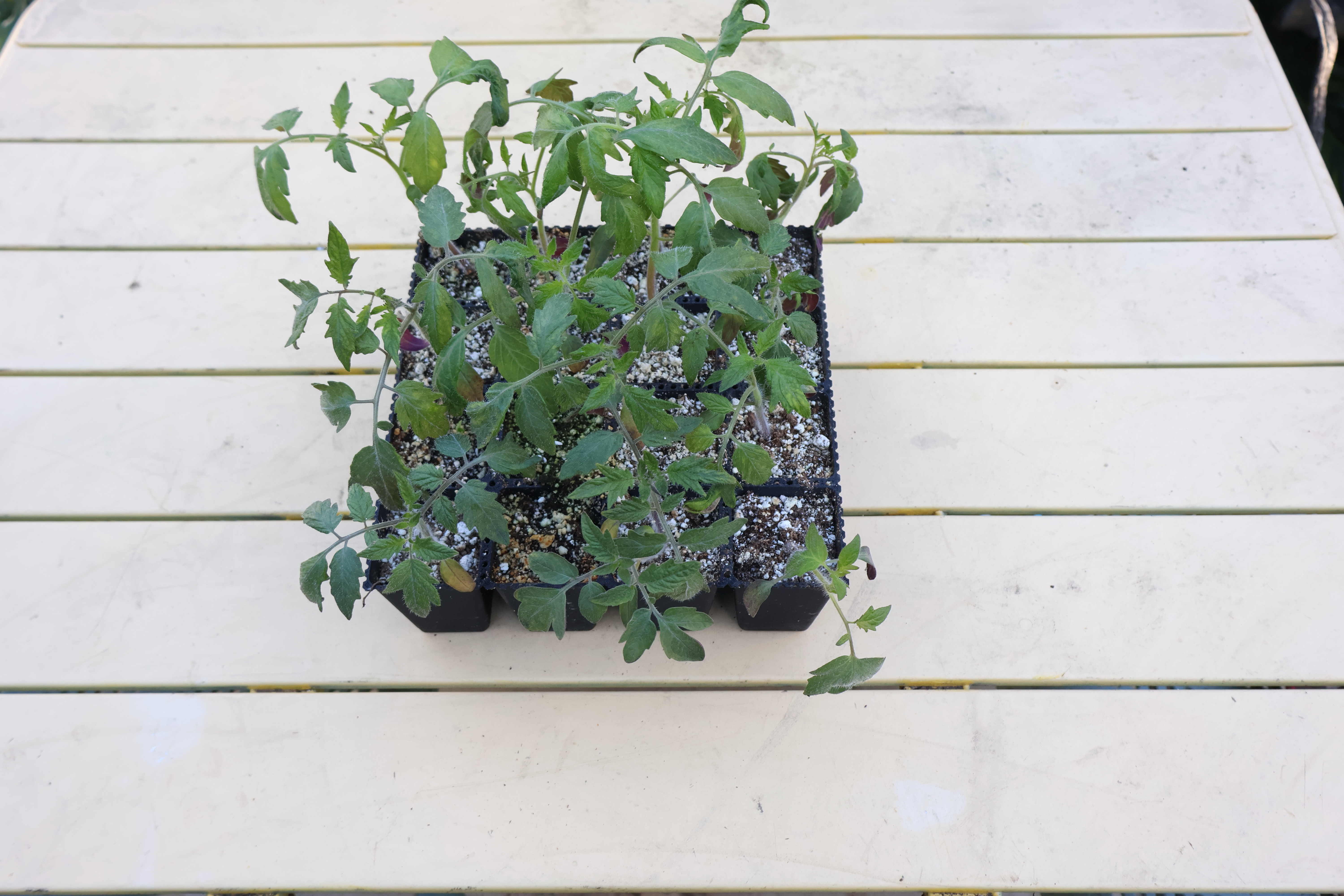 Parametric Snap-Apart Seed Trays (F3D + Open Source)