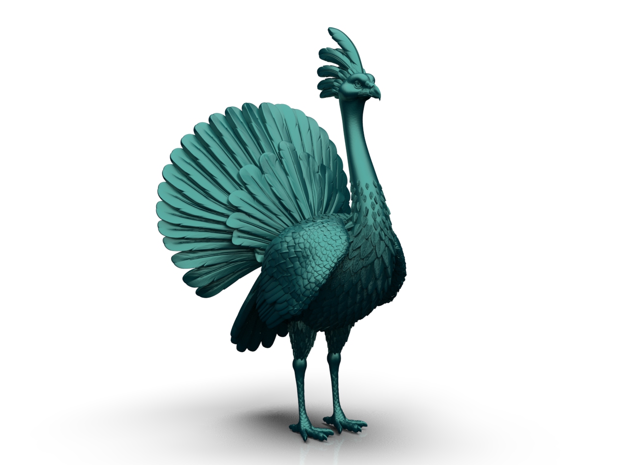 bird