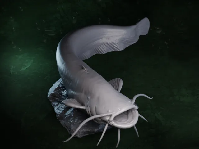 Catfish model