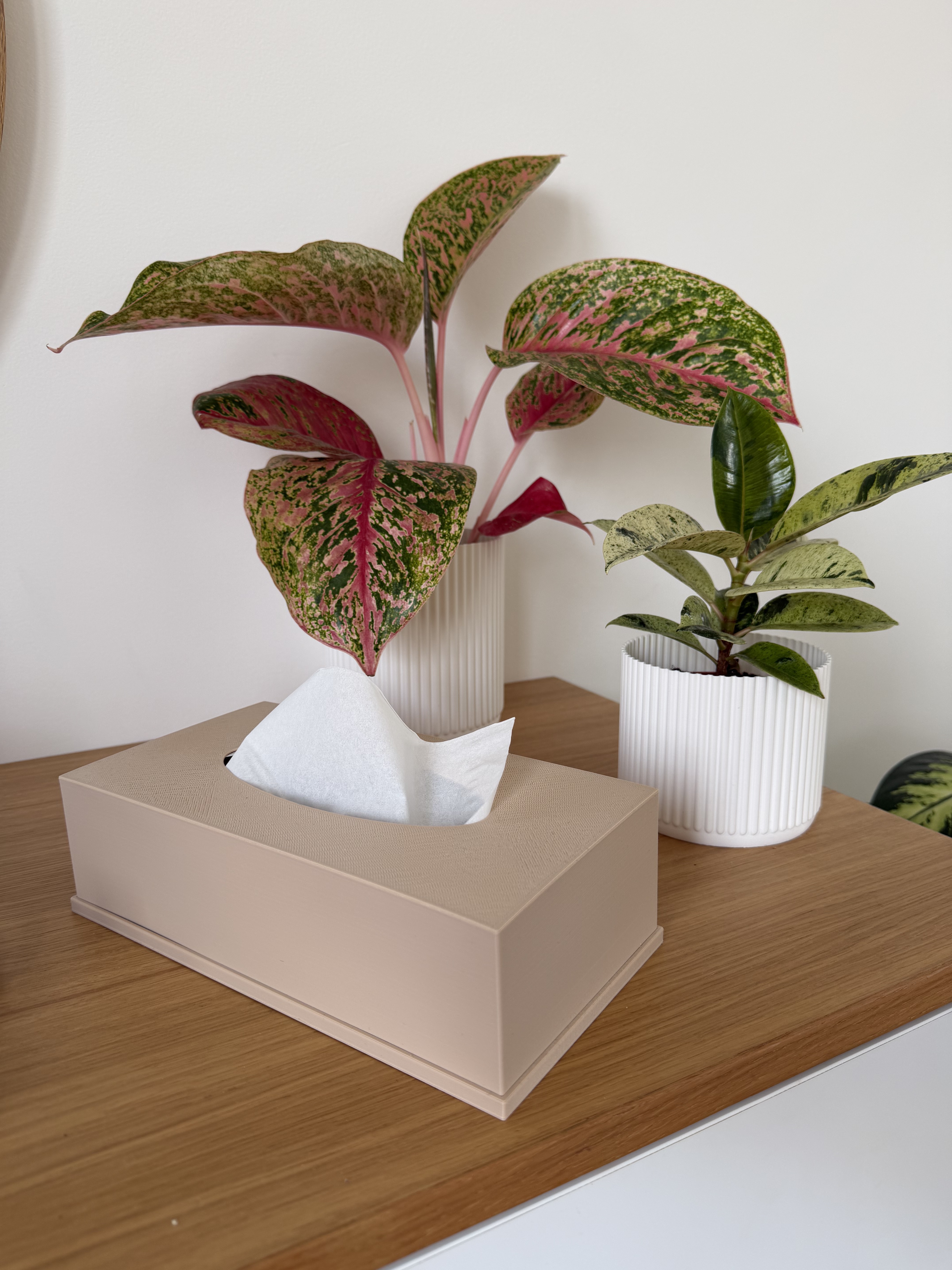 Minimalist Tissue Box Cover