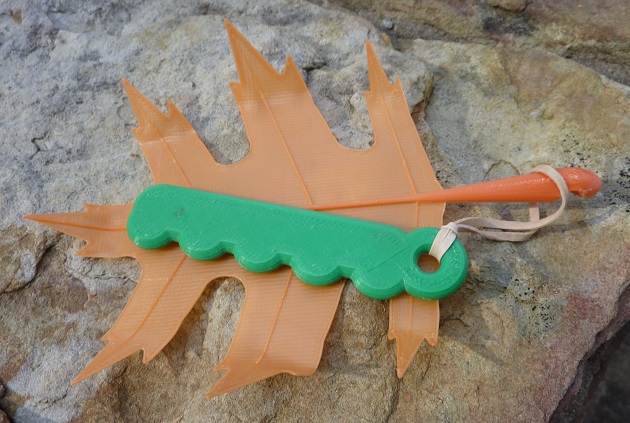 Oak Leaf Glider