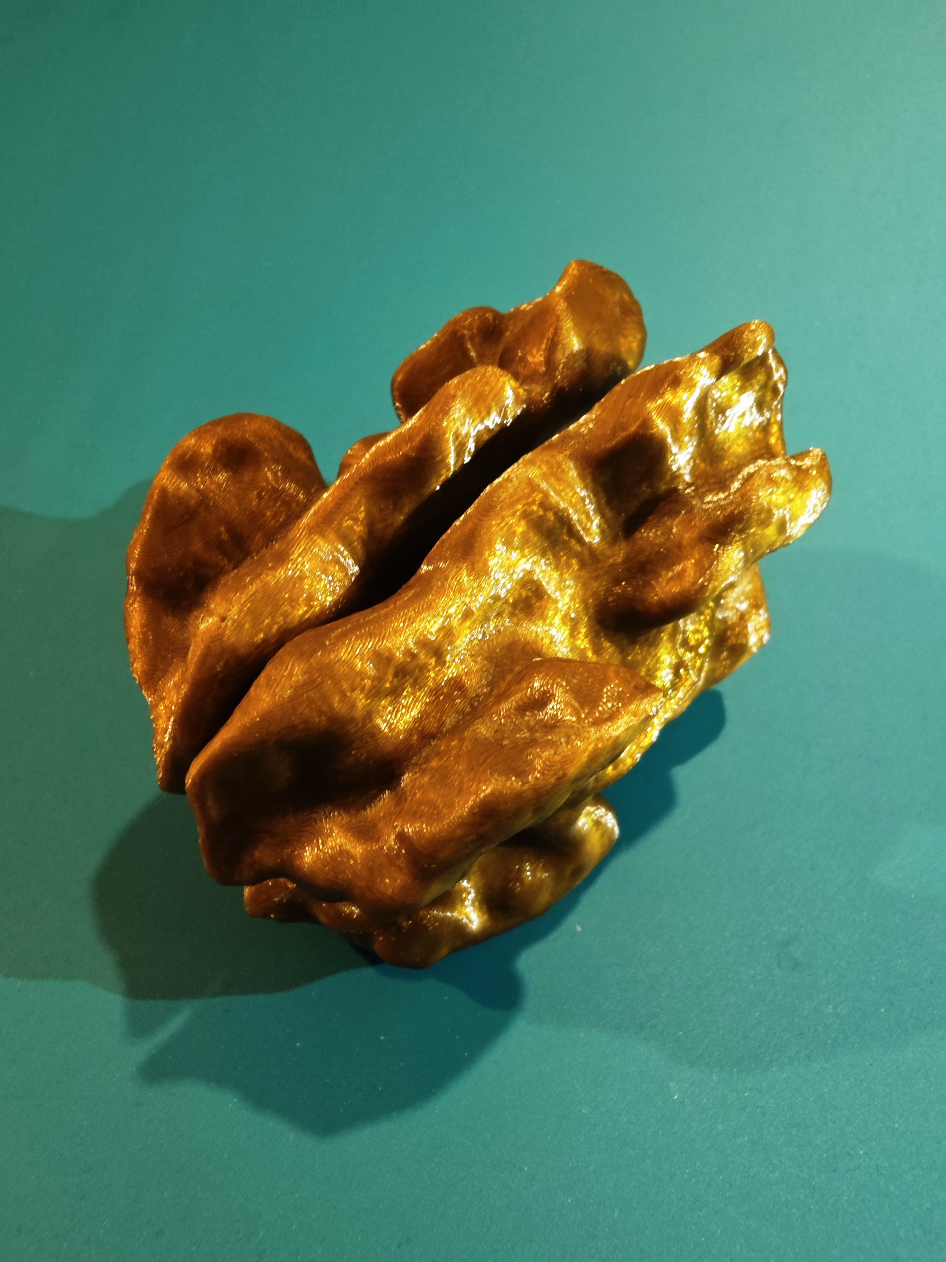 Walnut kernel
