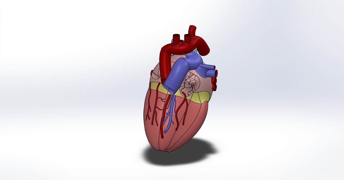 WHR Heart by WHR Robotics | Download free STL model | Printables.com